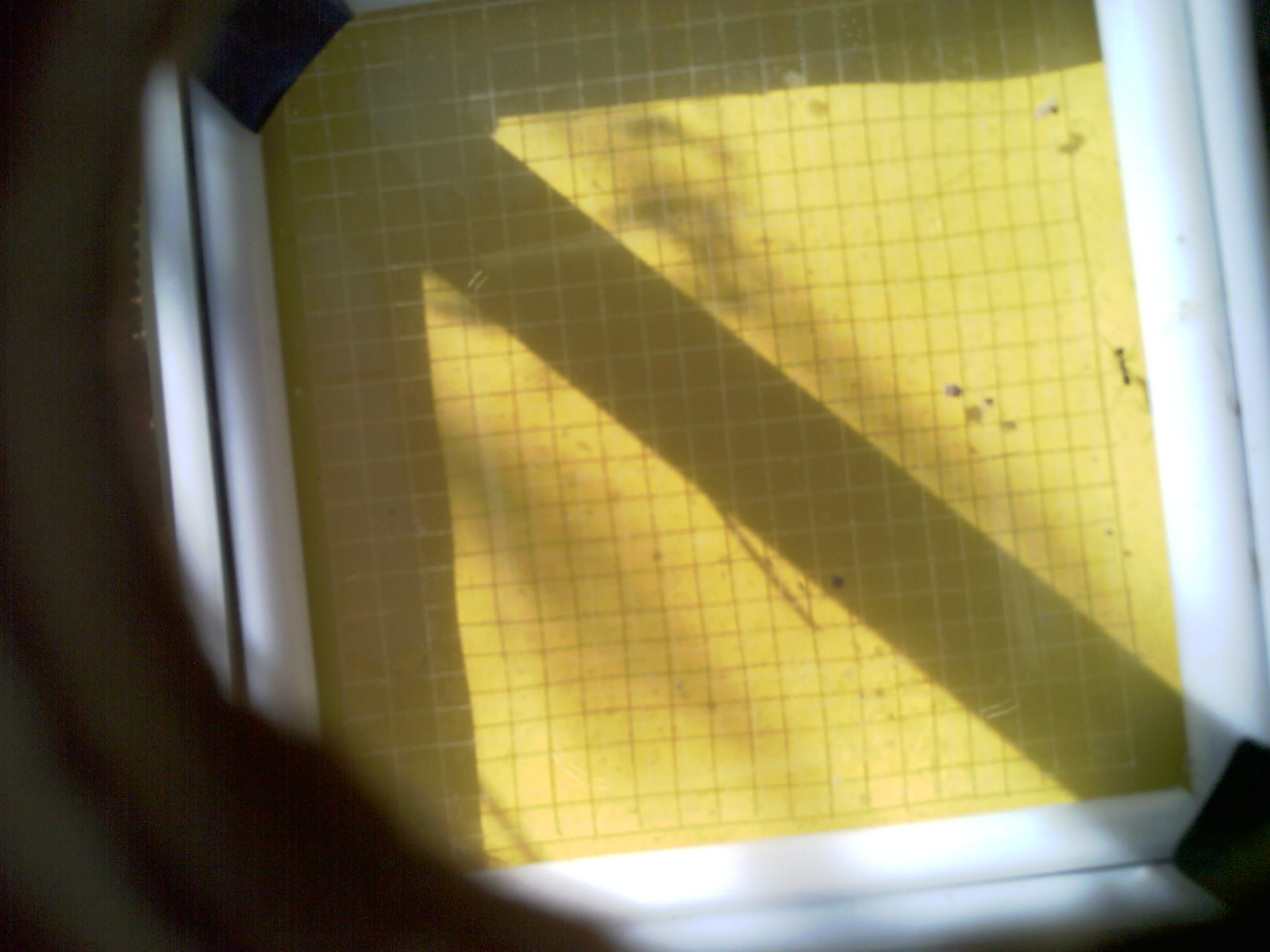20260704_093134_UXGA_Q3.jpg