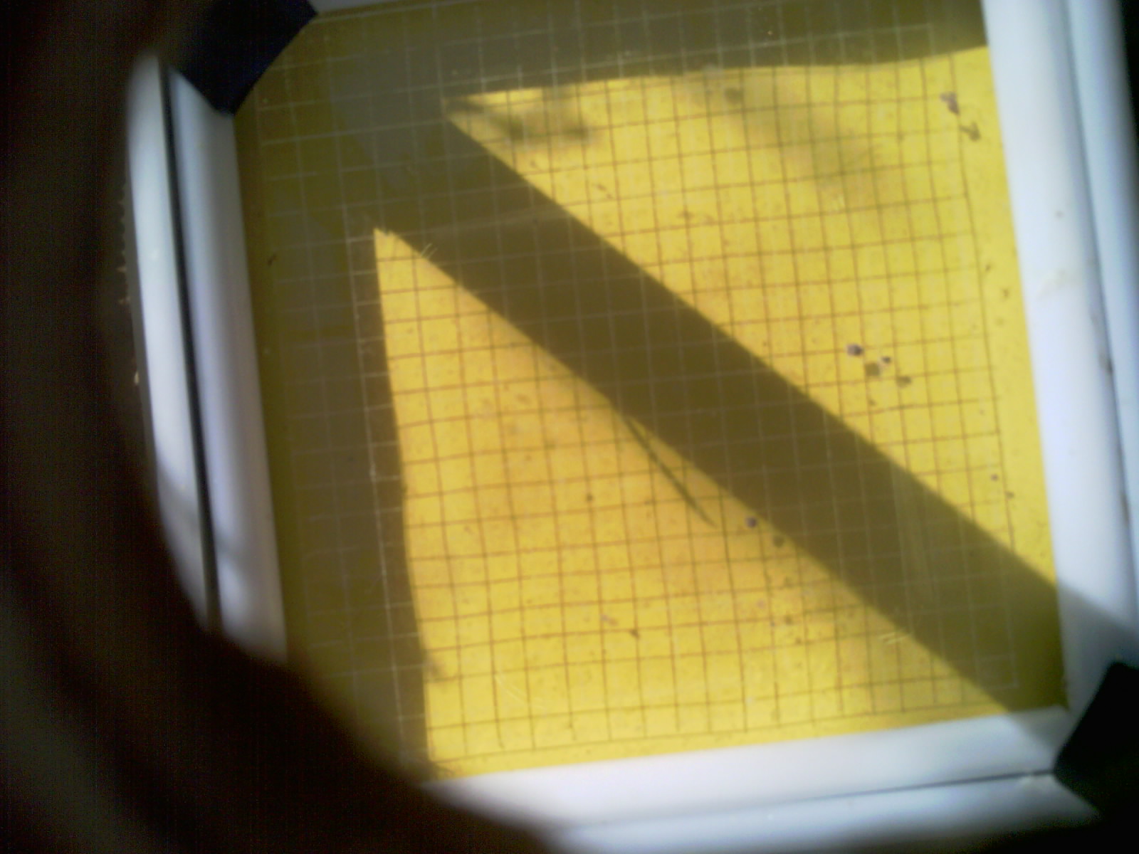 20260704_093806_UXGA_Q3.jpg