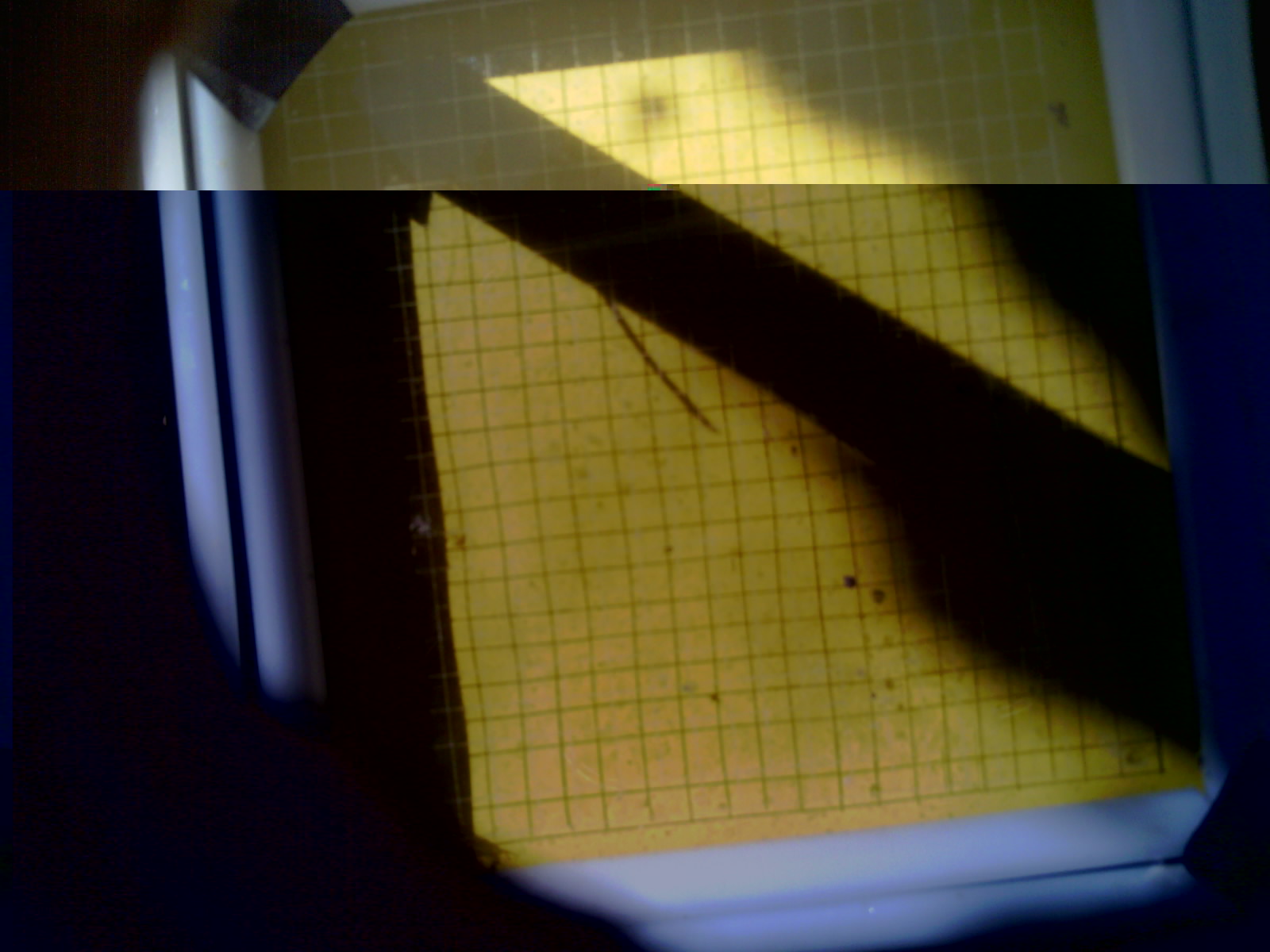 20260704_101659_UXGA_Q3.jpg