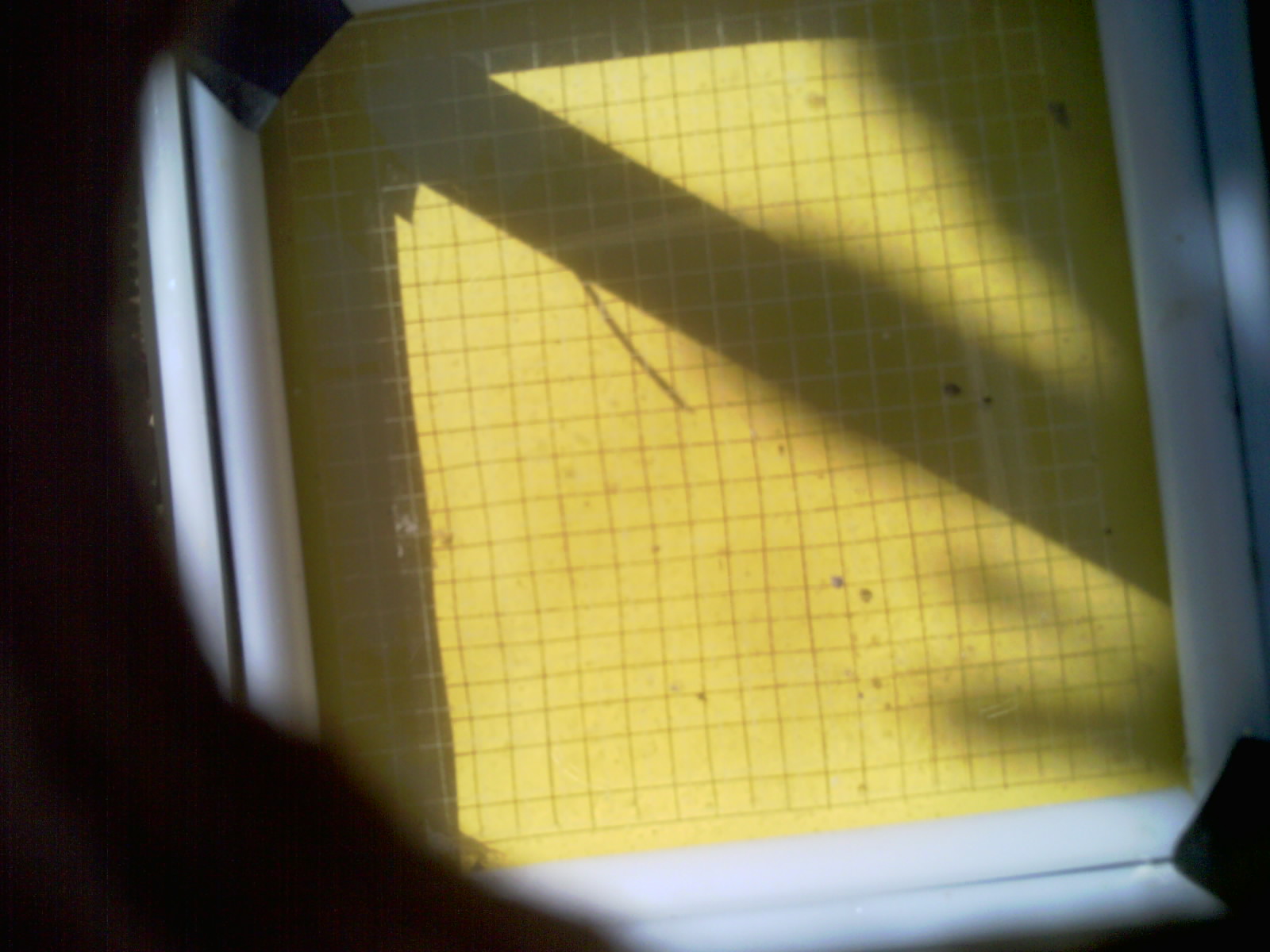 20260704_102644_UXGA_Q3.jpg