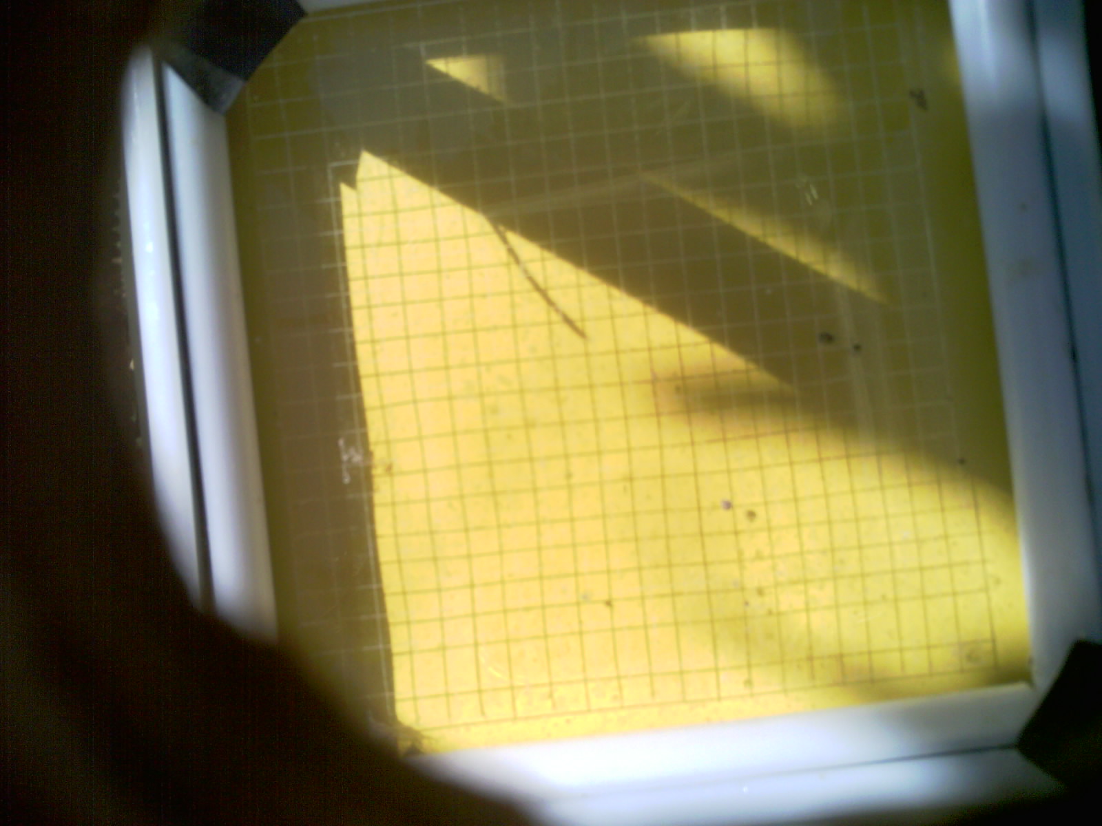 20260704_103453_UXGA_Q3.jpg