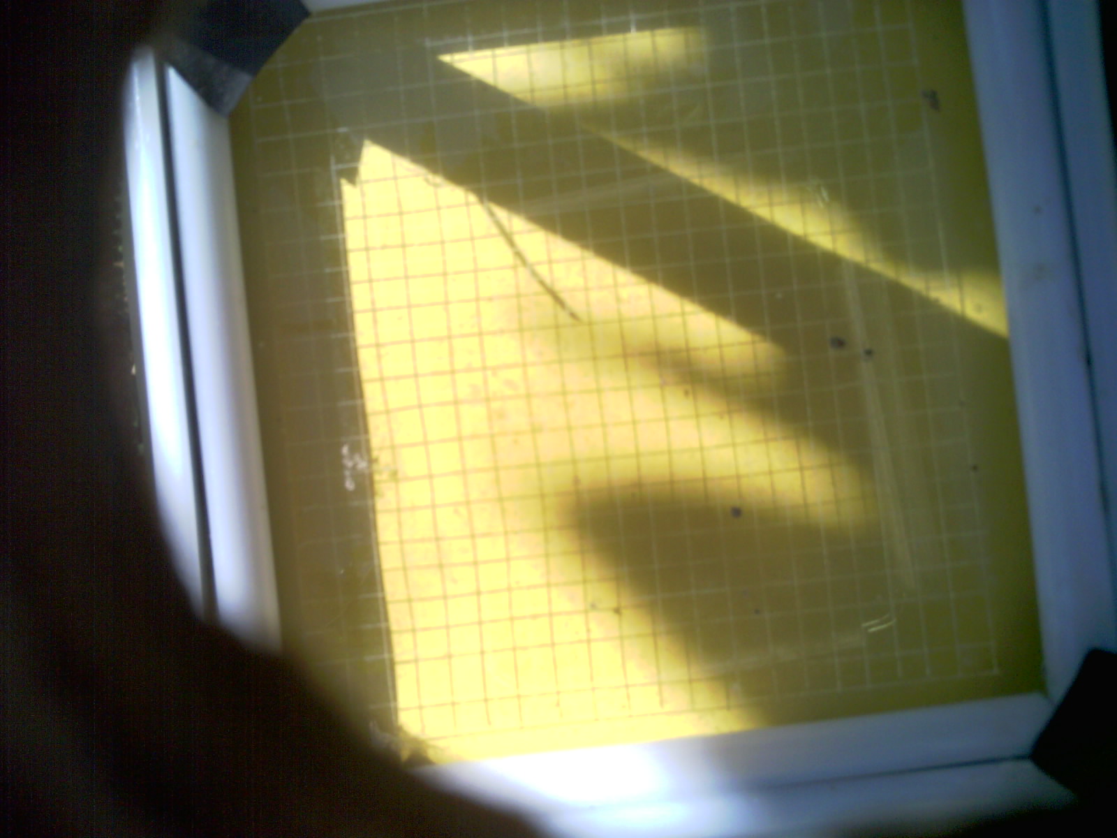 20260704_104208_UXGA_Q3.jpg