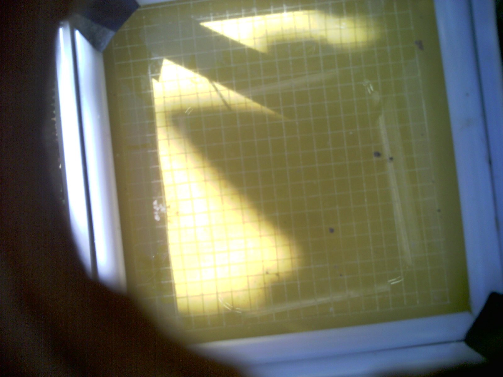 20260704_104904_UXGA_Q3.jpg