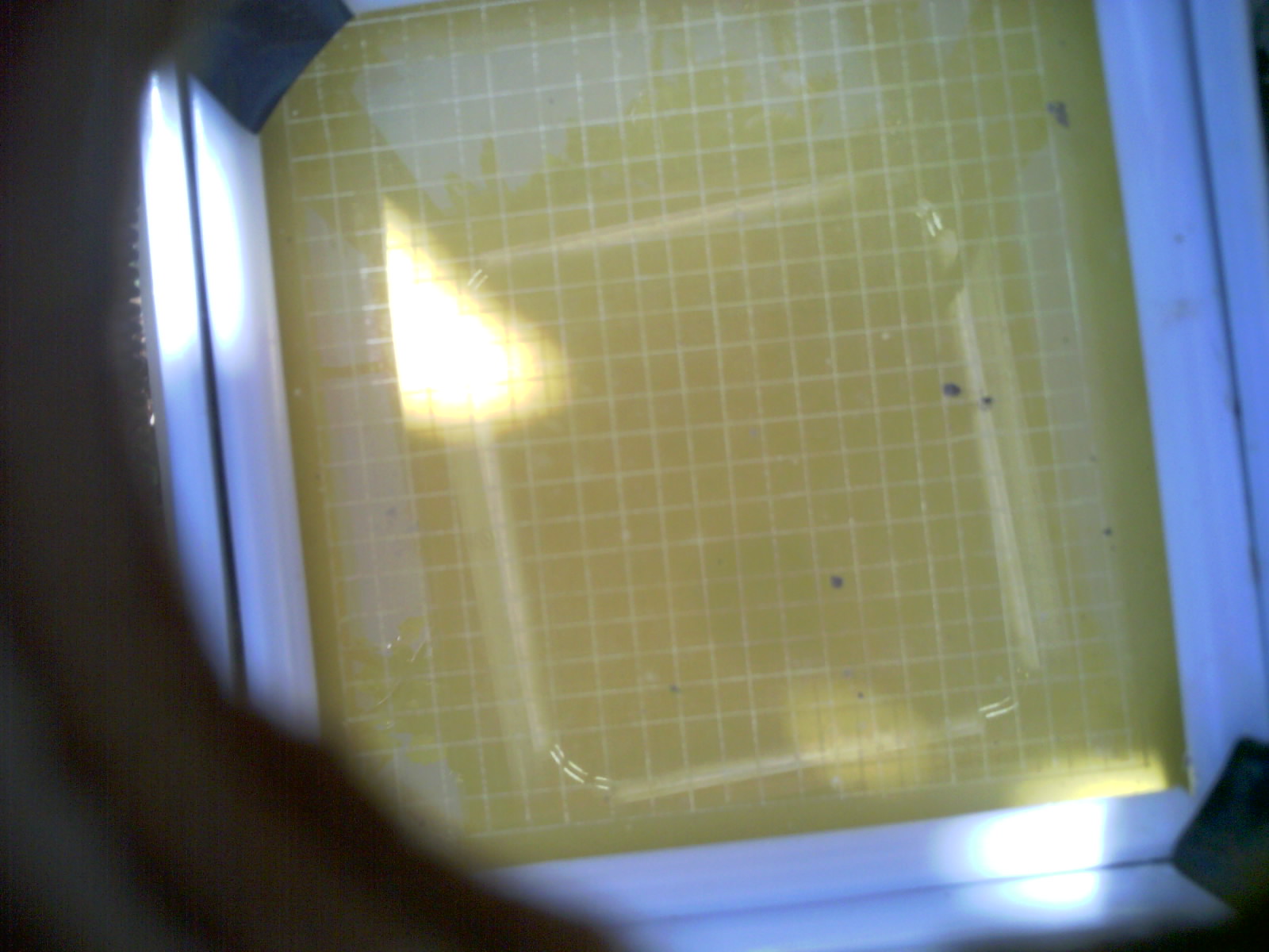 20260704_105556_UXGA_Q3.jpg