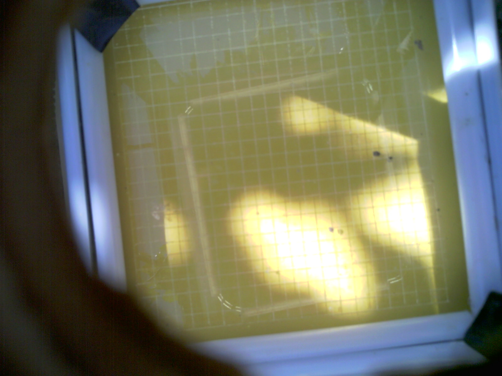 20260704_111400_UXGA_Q3.jpg