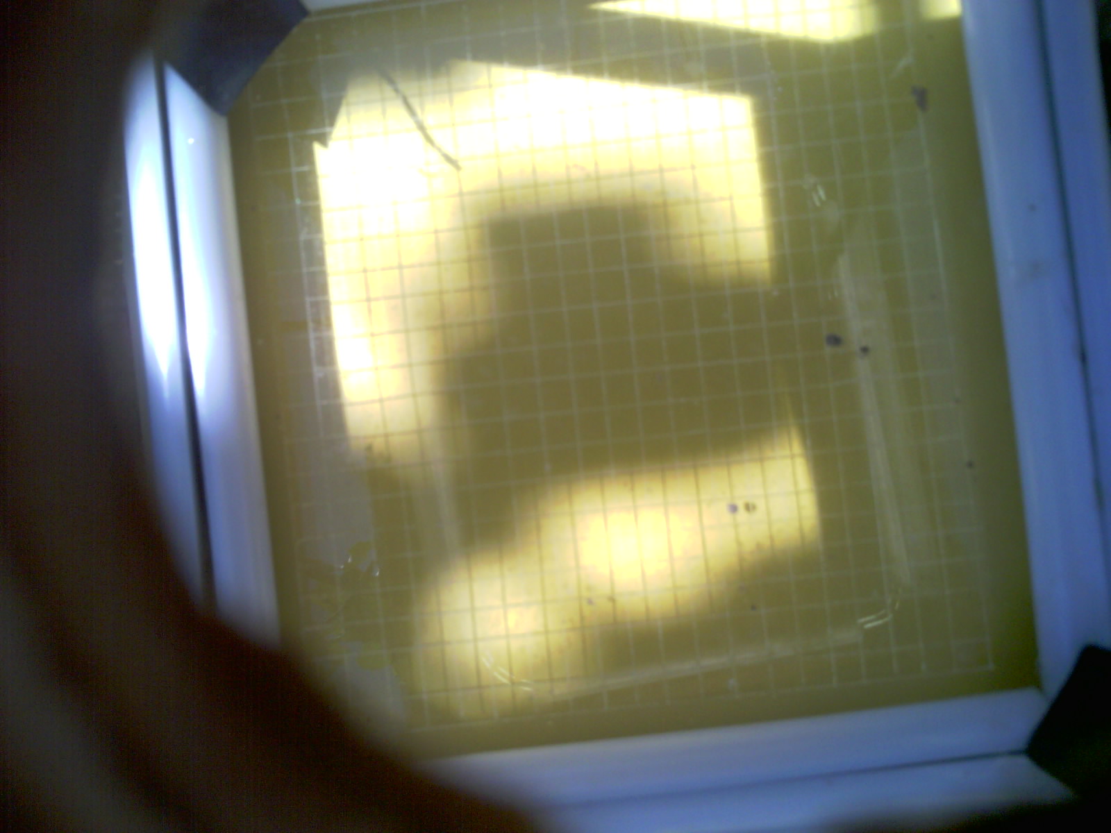 20260704_120116_UXGA_Q3.jpg