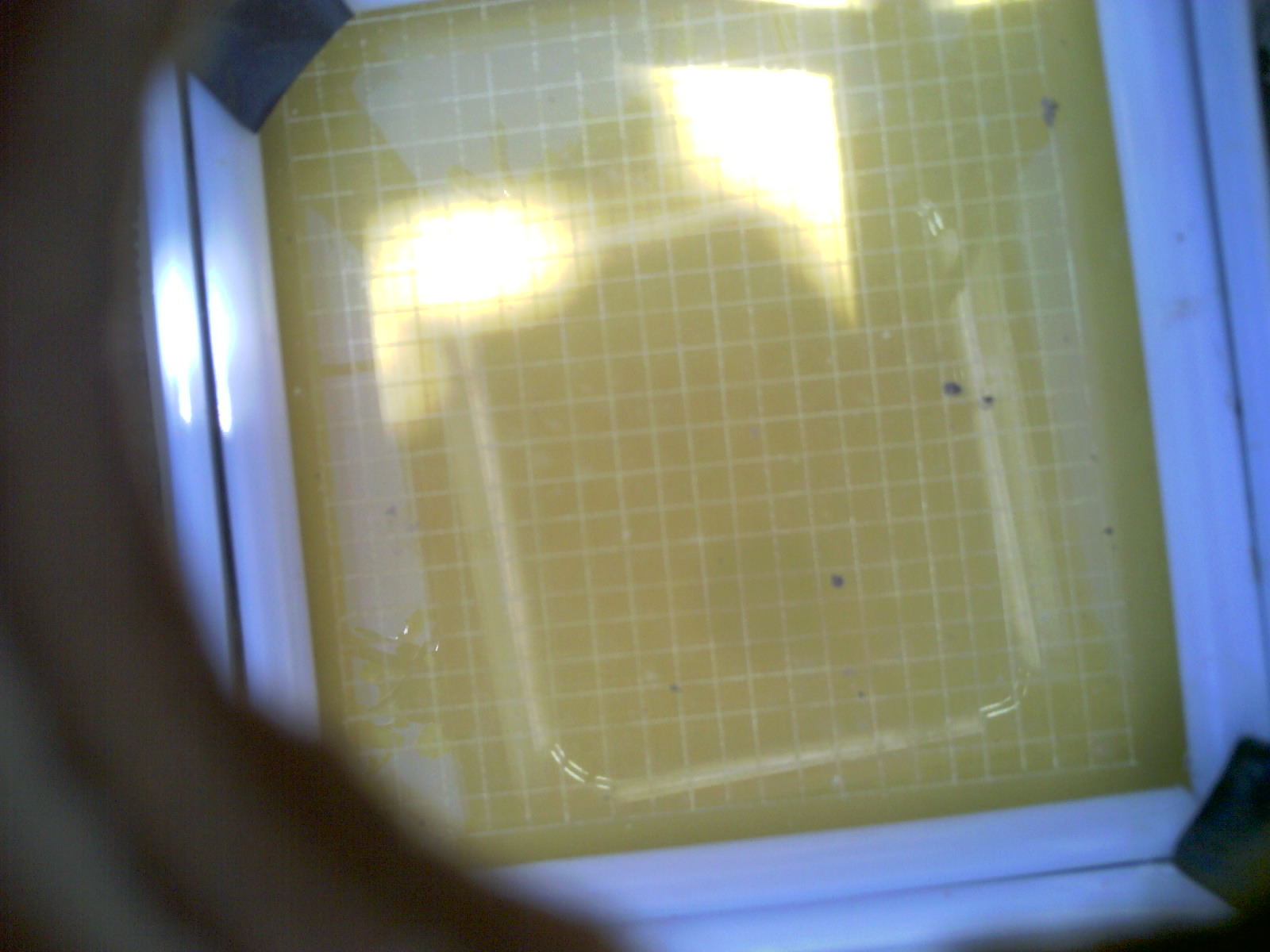 20260704_120909_UXGA_Q3.jpg