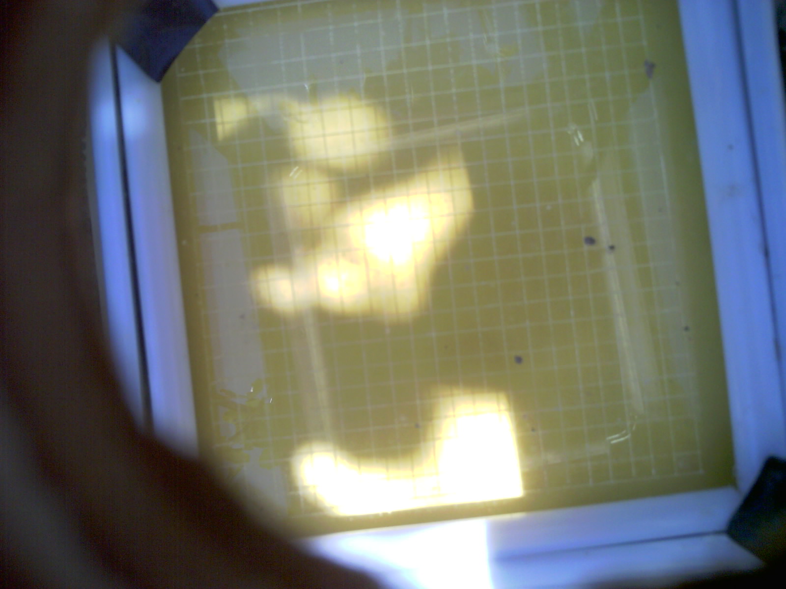 20260704_123631_UXGA_Q3.jpg