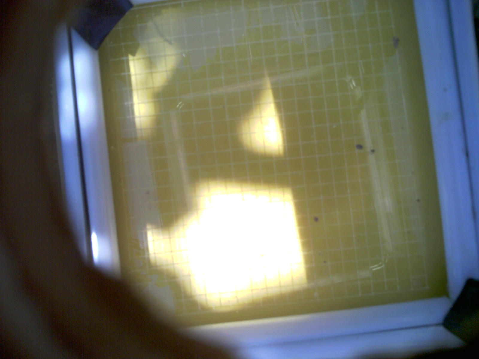 20260704_124529_UXGA_Q3.jpg