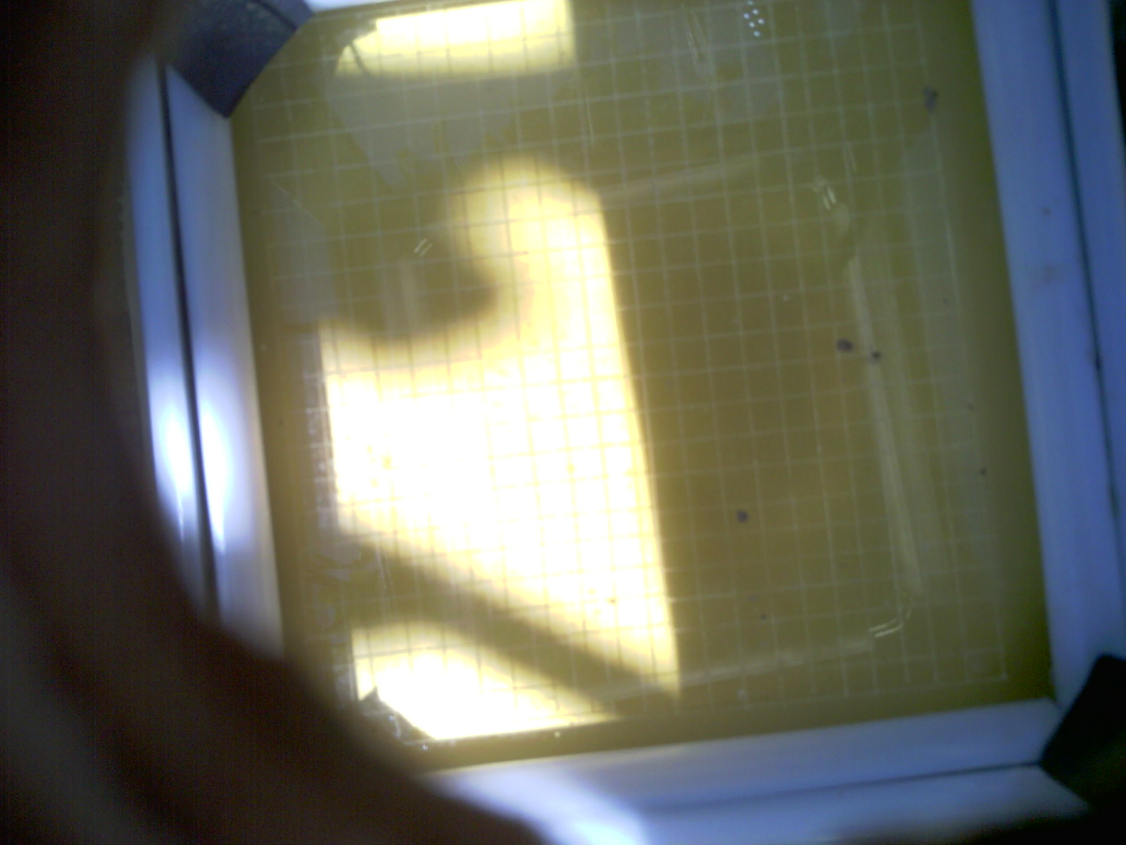 20260704_125917_UXGA_Q3.jpg