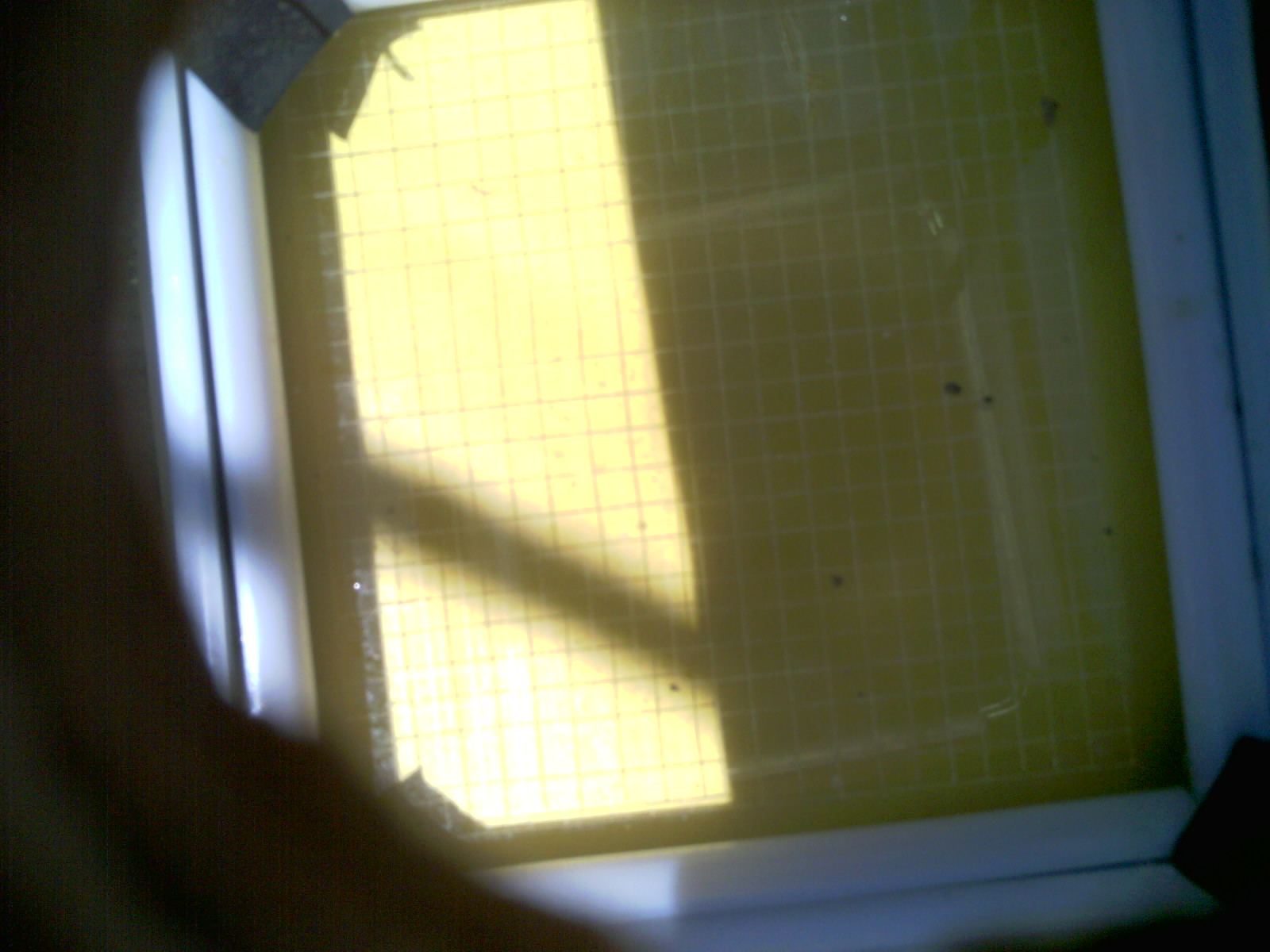20260704_131758_UXGA_Q3.jpg