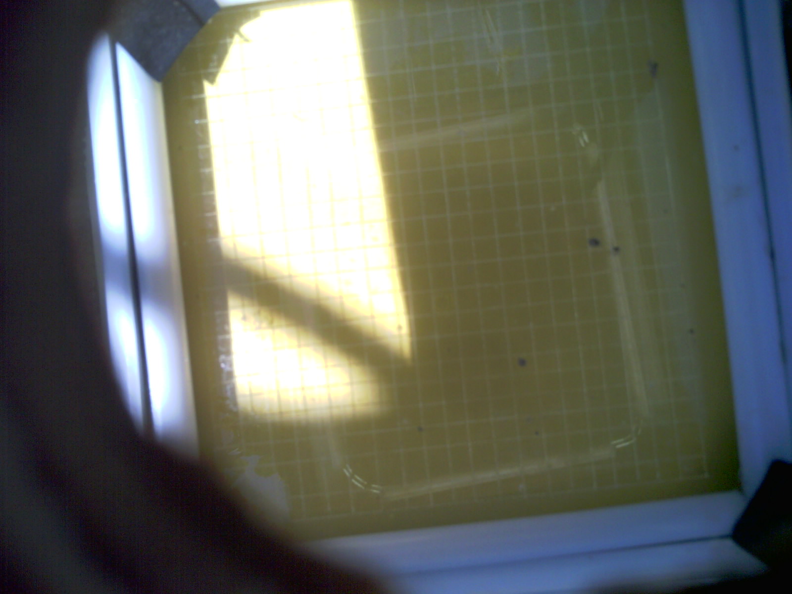 20260704_132742_UXGA_Q3.jpg