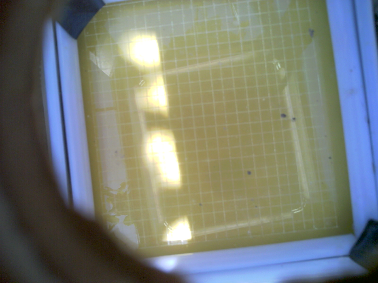 20260704_134732_UXGA_Q3.jpg