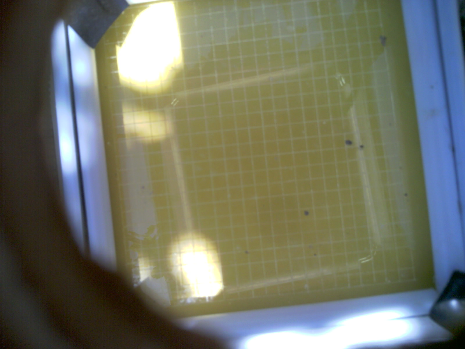 20260704_135418_UXGA_Q3.jpg