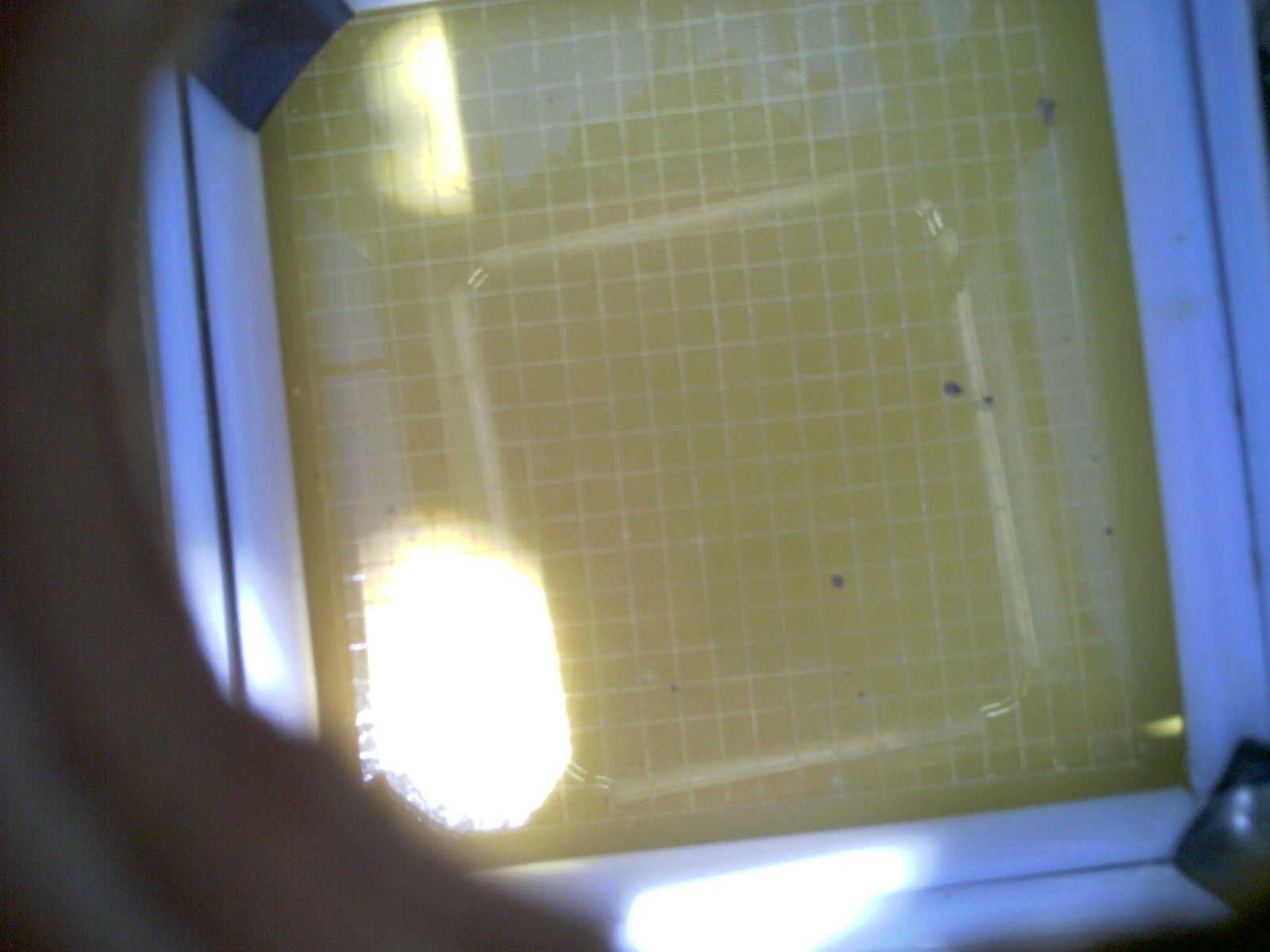 20260704_140530_UXGA_Q3.jpg