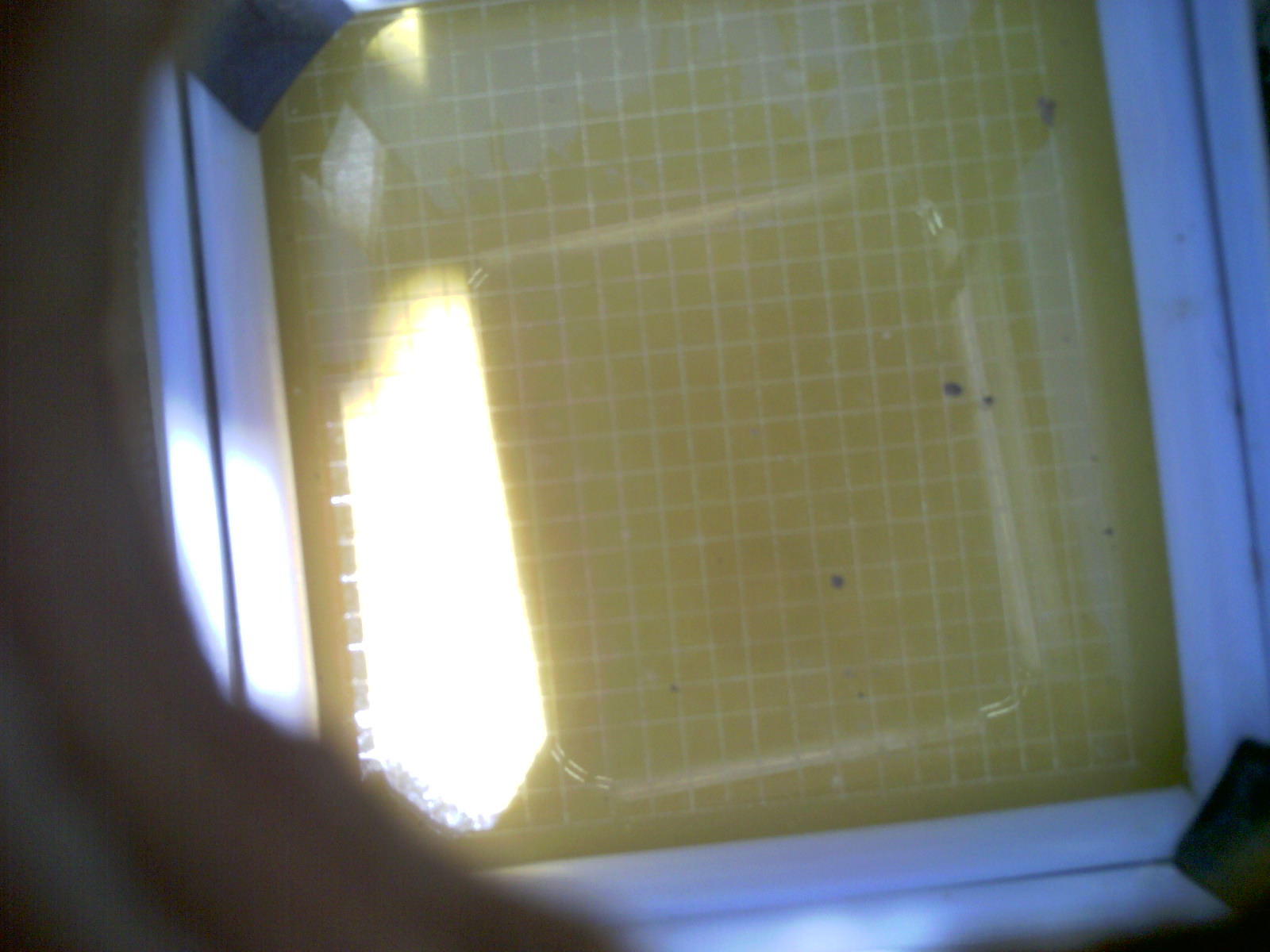 20260704_141213_UXGA_Q3.jpg