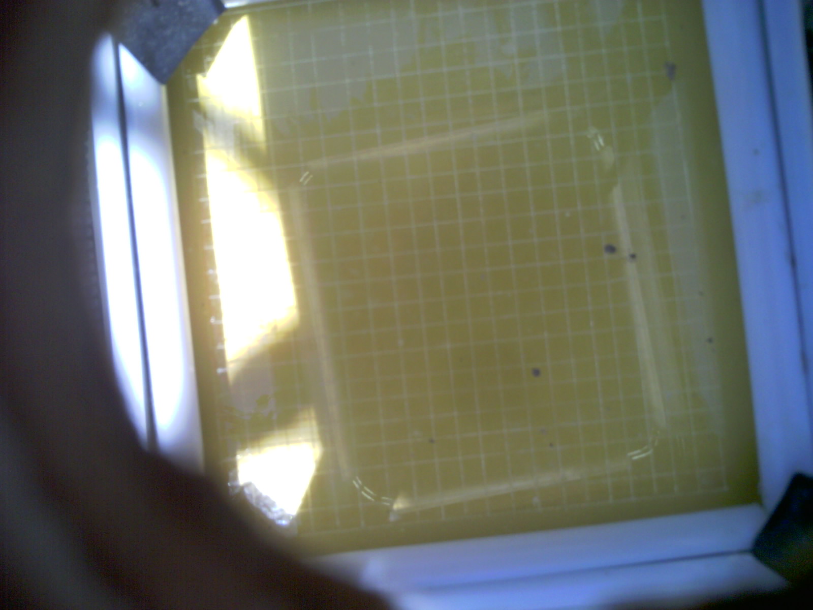 20260704_141911_UXGA_Q3.jpg