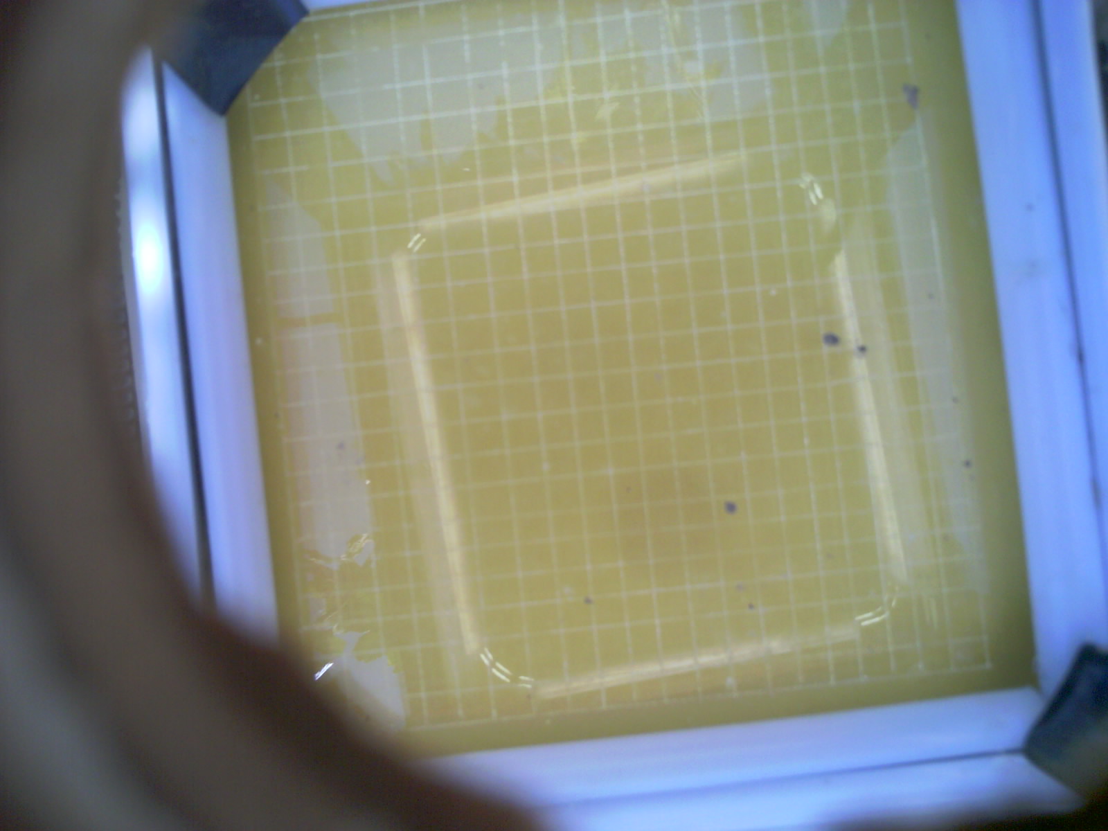 20260704_150009_UXGA_Q3.jpg