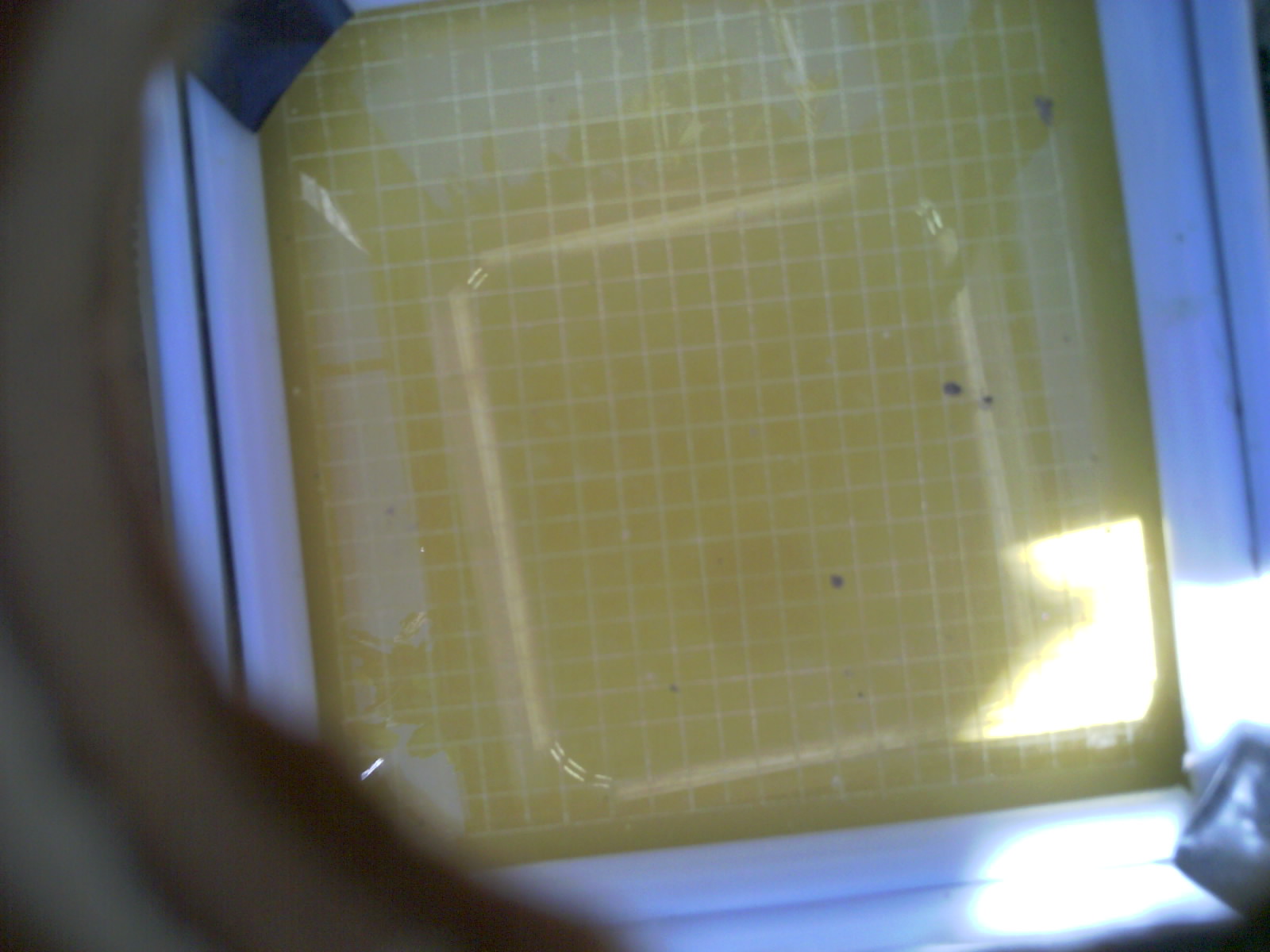 20260704_150634_UXGA_Q3.jpg