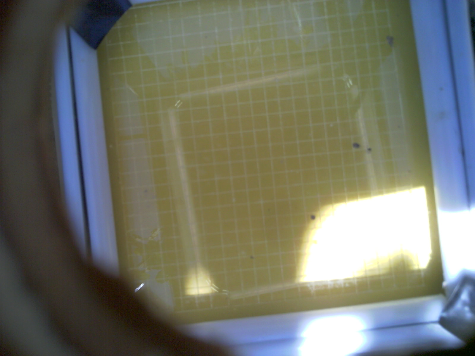 20260704_151315_UXGA_Q3.jpg
