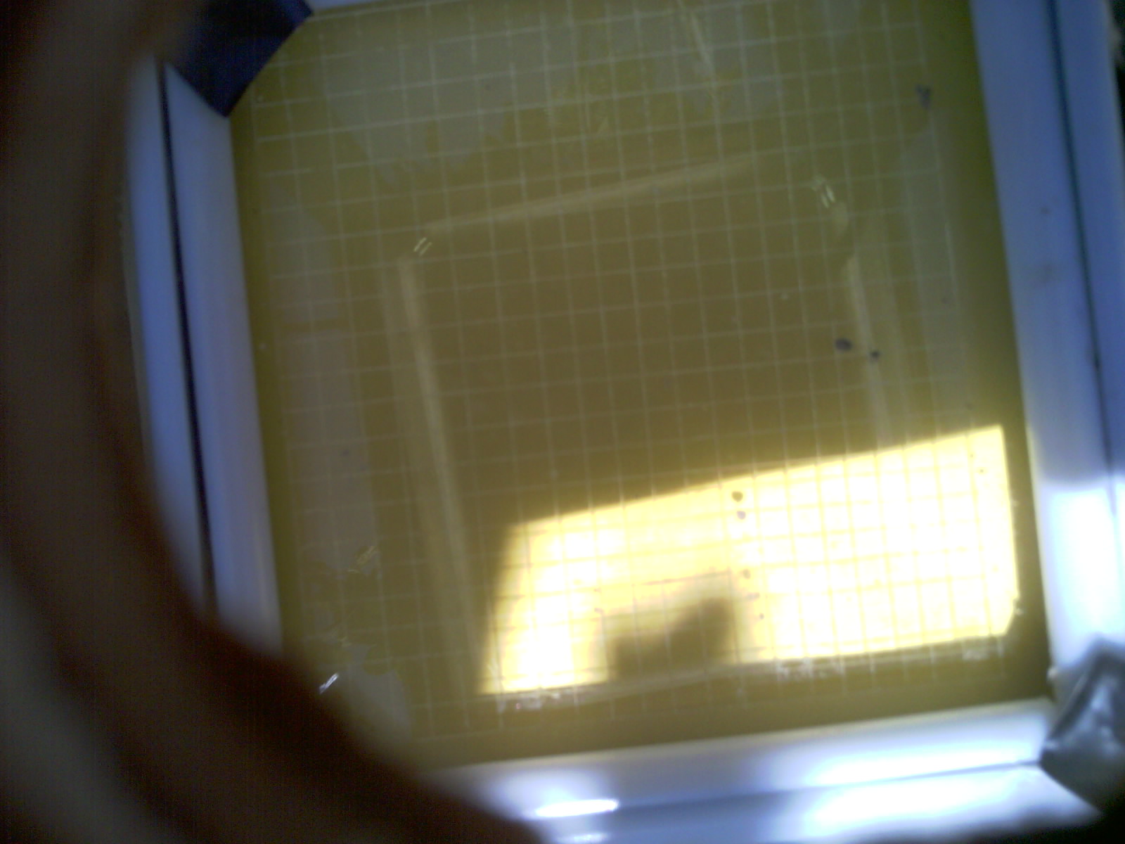 20260704_152004_UXGA_Q3.jpg