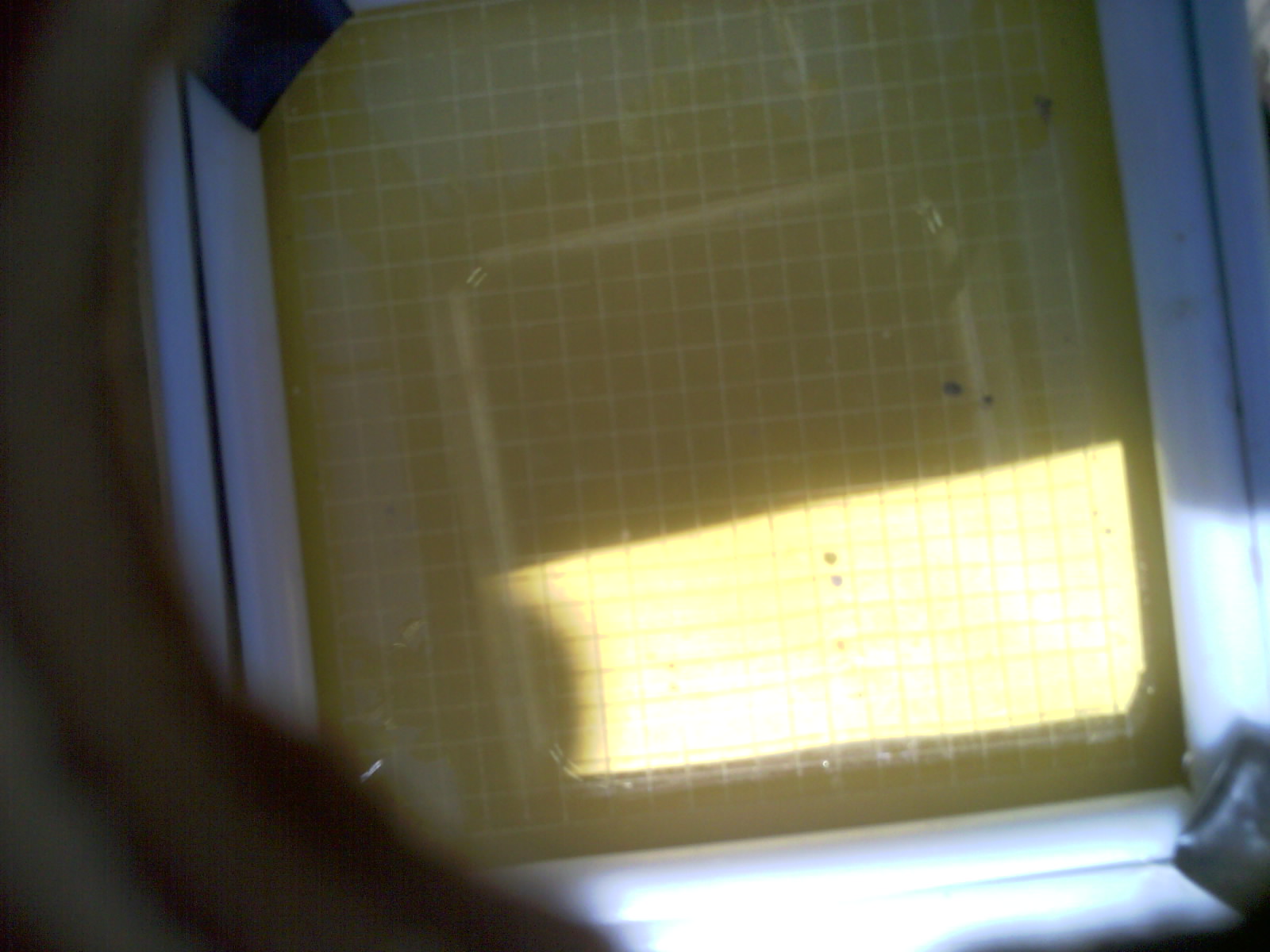 20260704_153441_UXGA_Q3.jpg