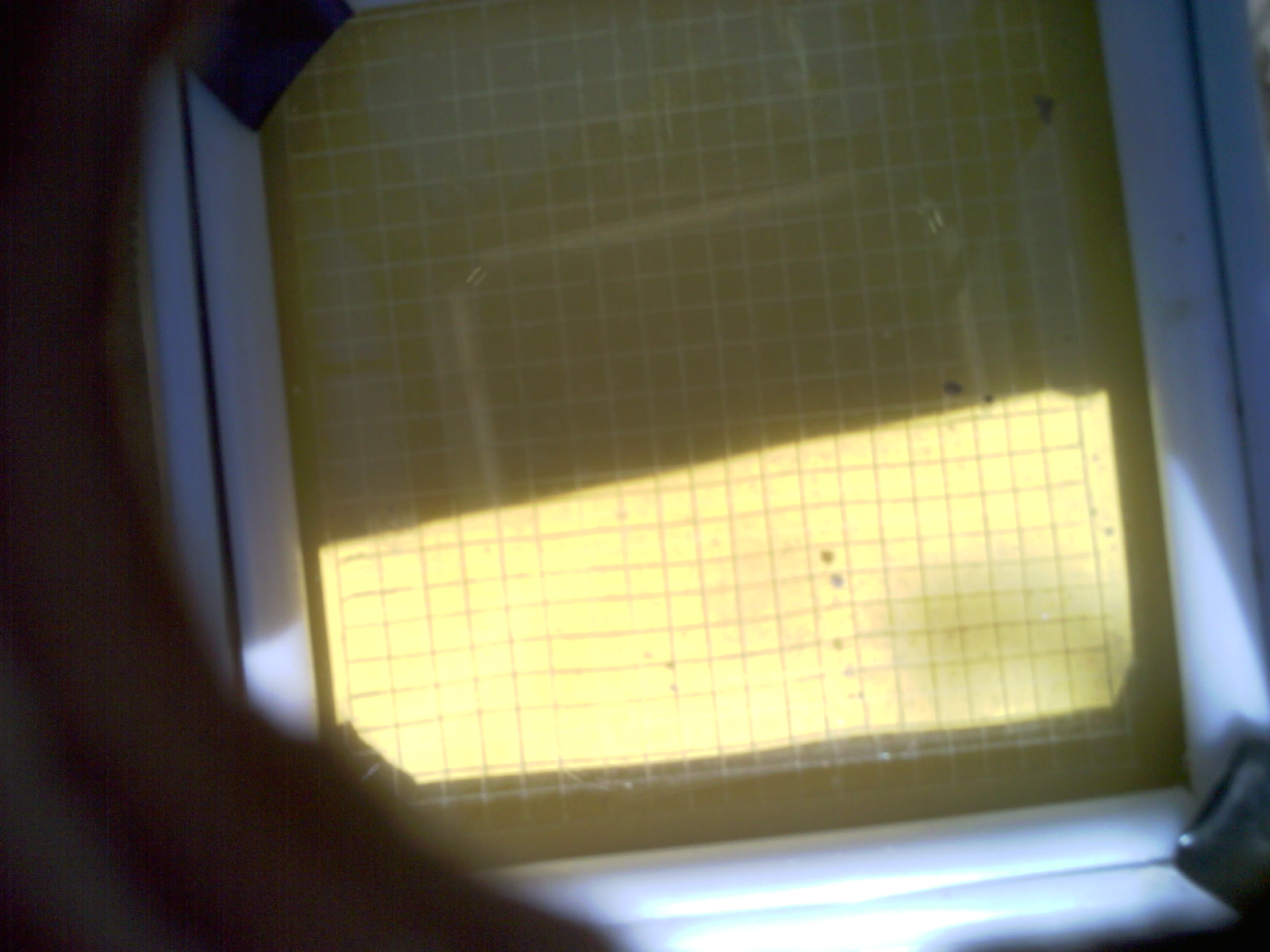 20260704_155745_UXGA_Q3.jpg