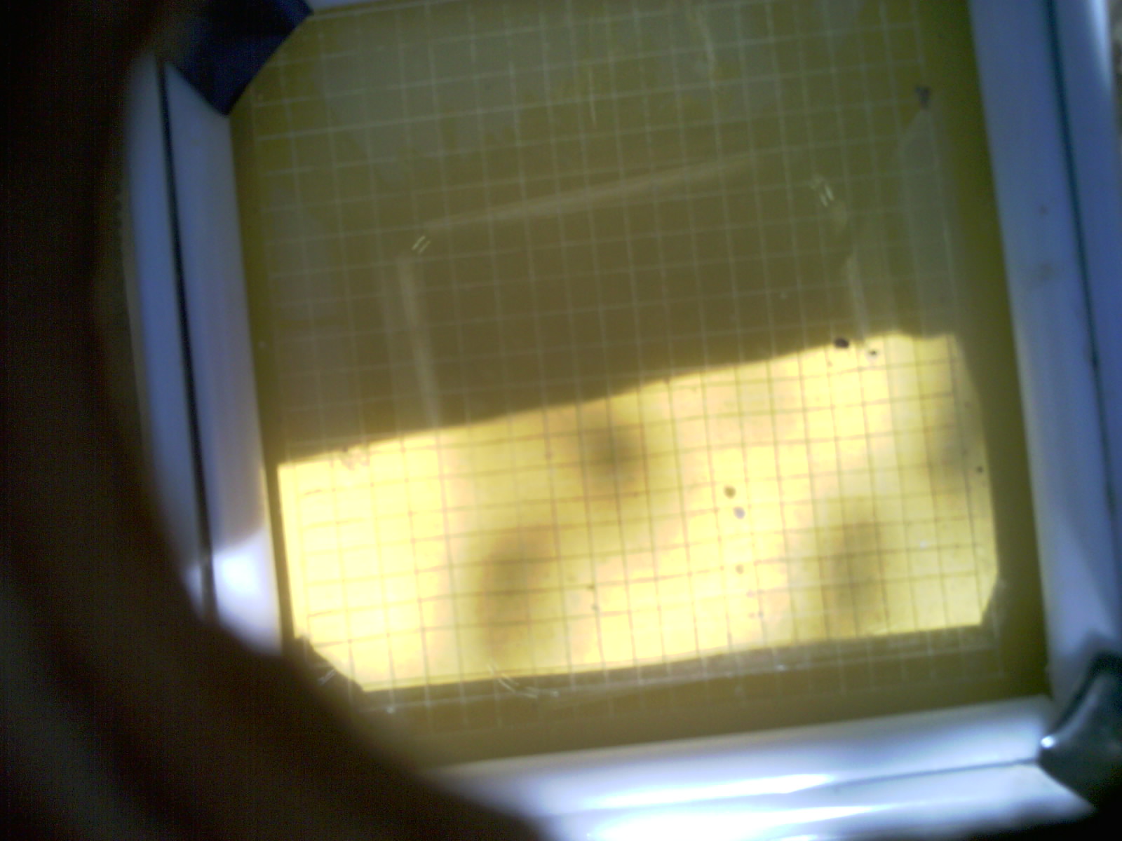 20260704_160618_UXGA_Q3.jpg