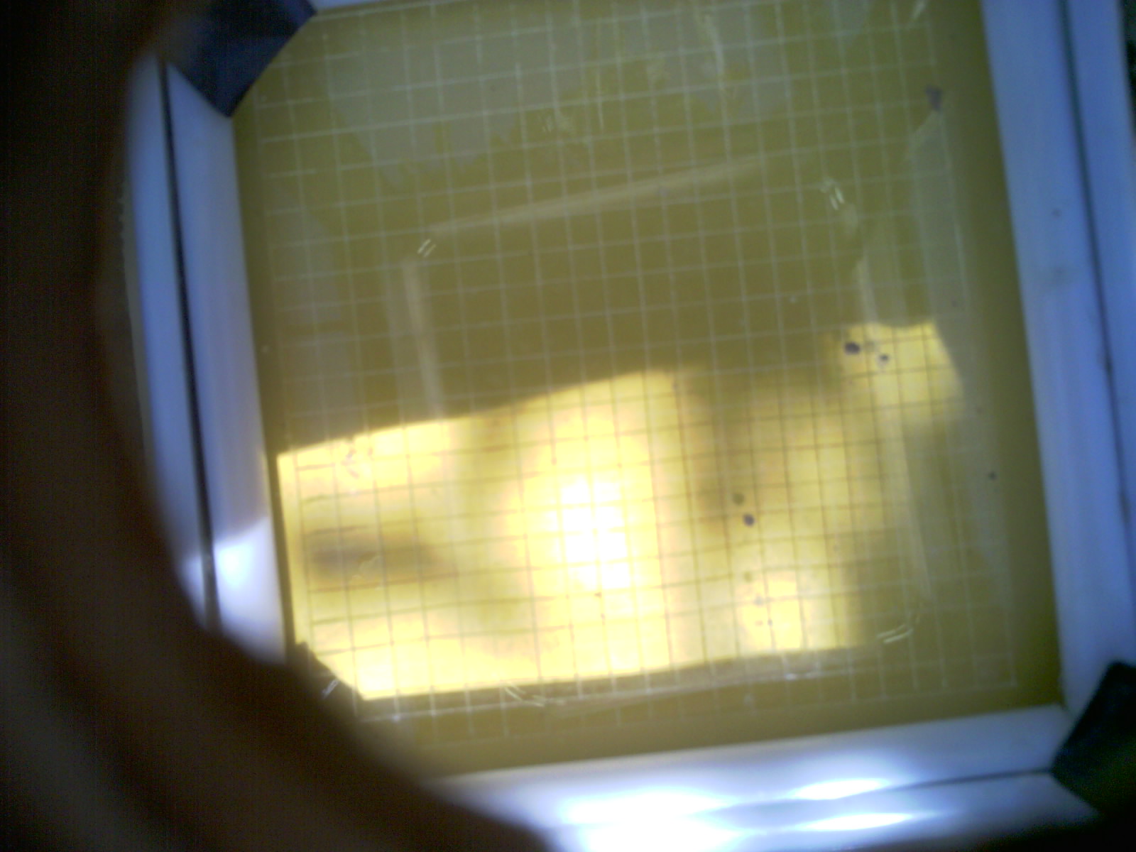 20260704_161501_UXGA_Q3.jpg