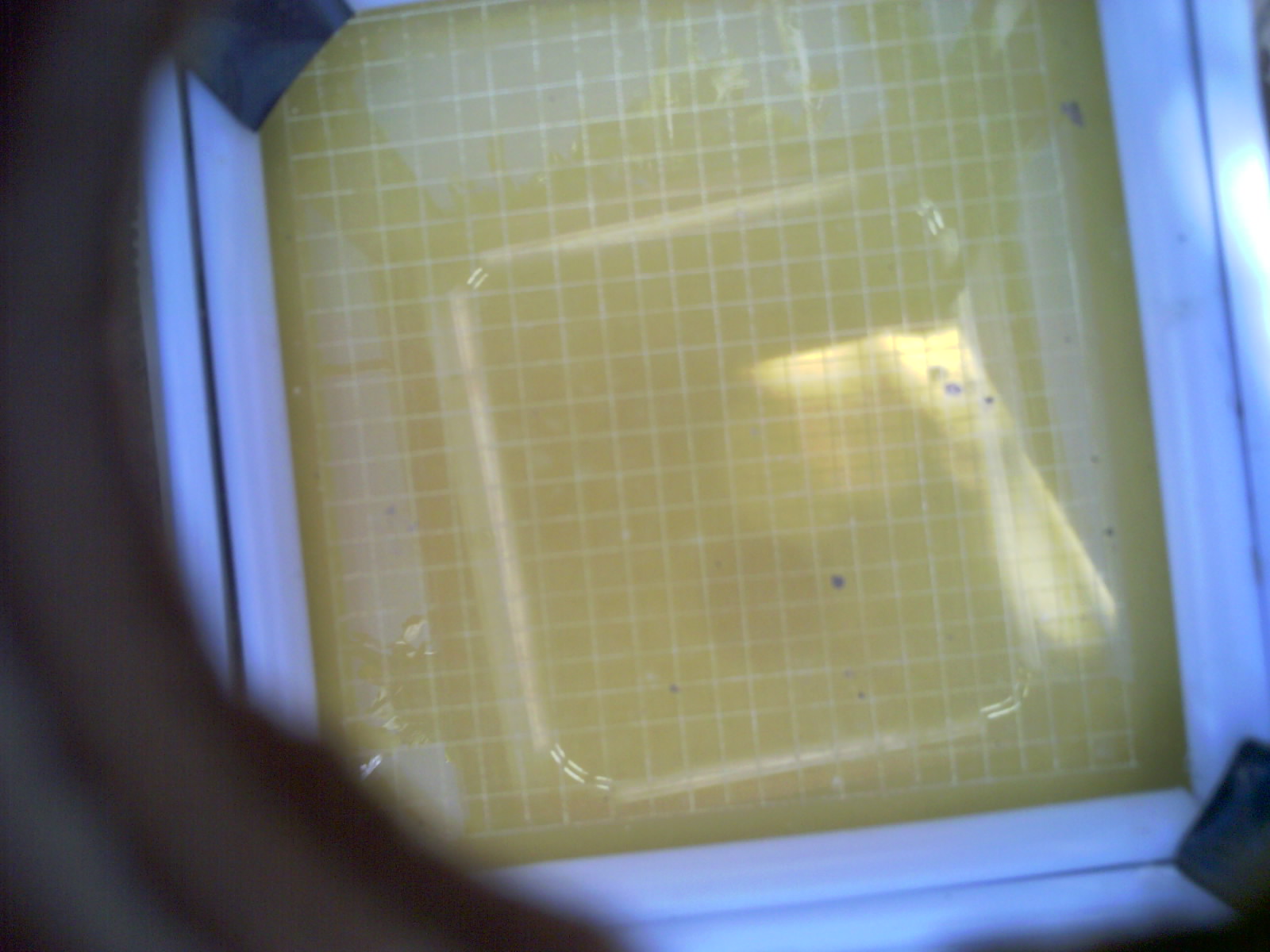 20260704_163119_UXGA_Q3.jpg