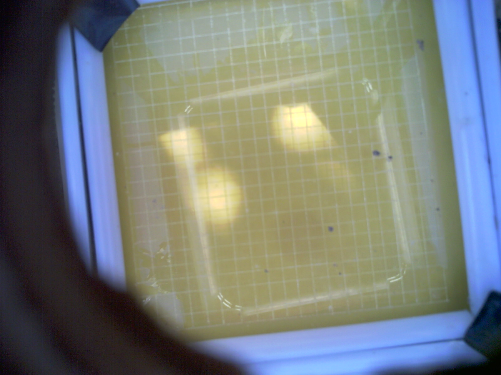 20260704_170316_UXGA_Q3.jpg
