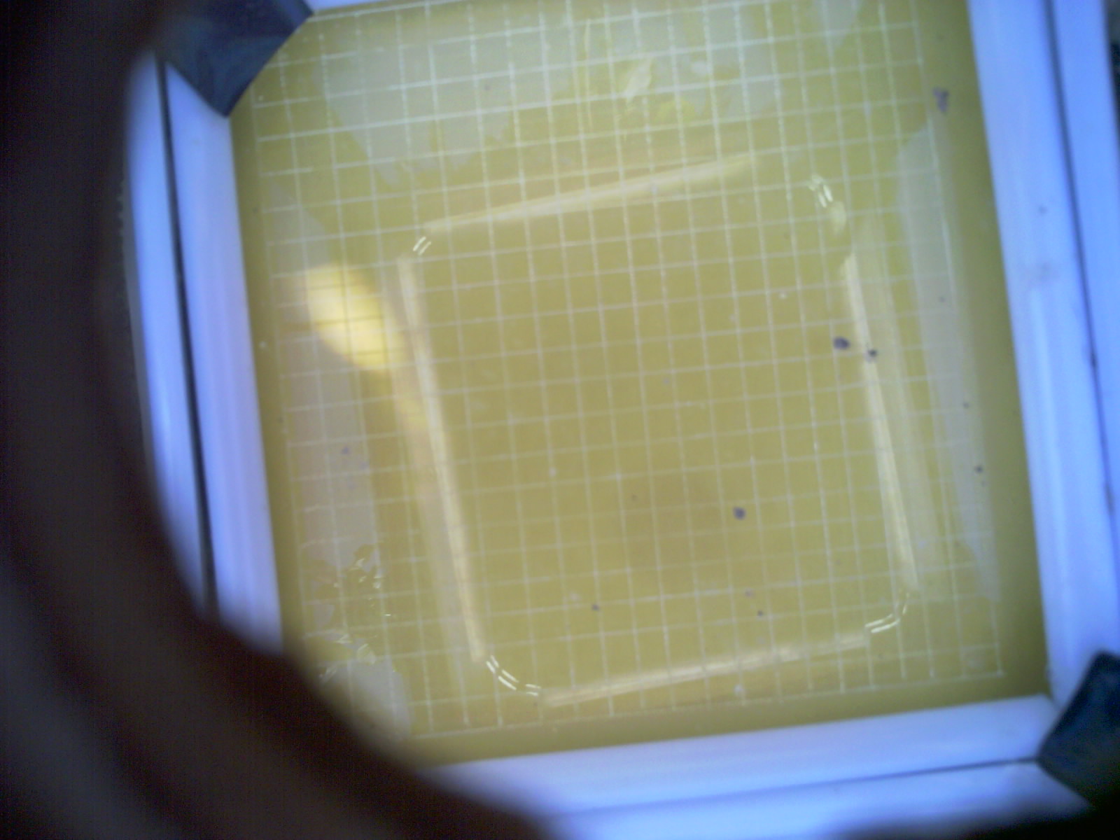 20260704_171905_UXGA_Q3.jpg