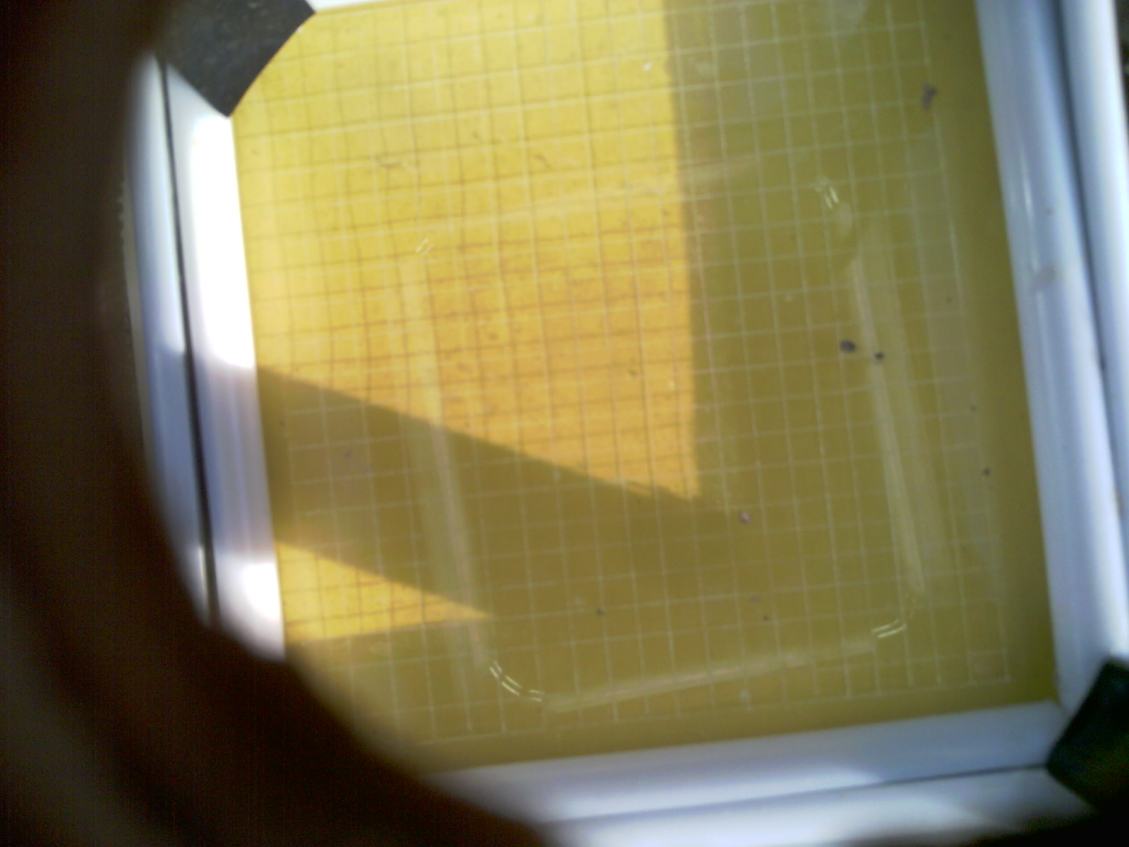 20260704_201244_UXGA_Q3.jpg