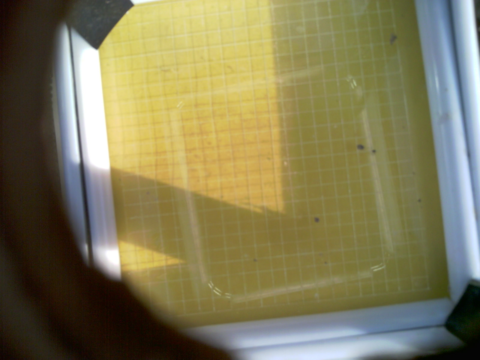 20260704_202043_UXGA_Q3.jpg