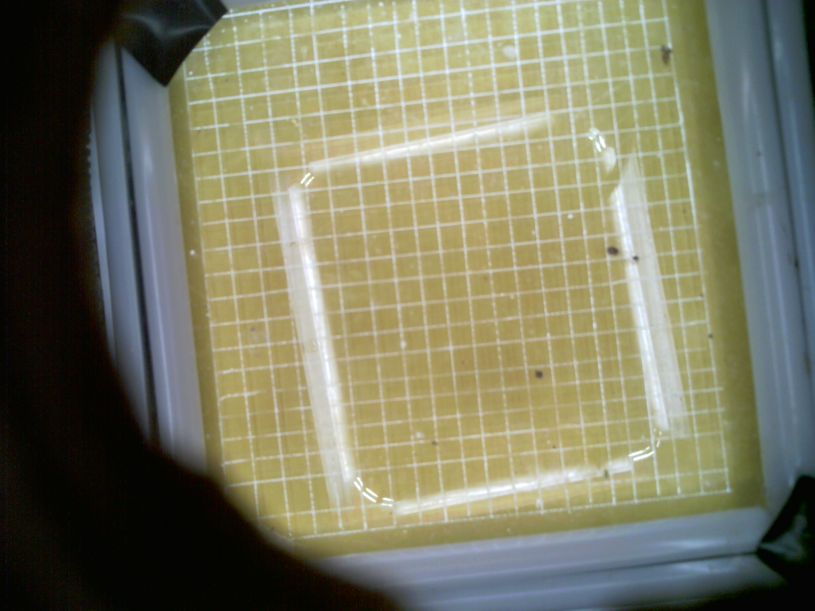 20260705_015041_UXGA_Q3.jpg