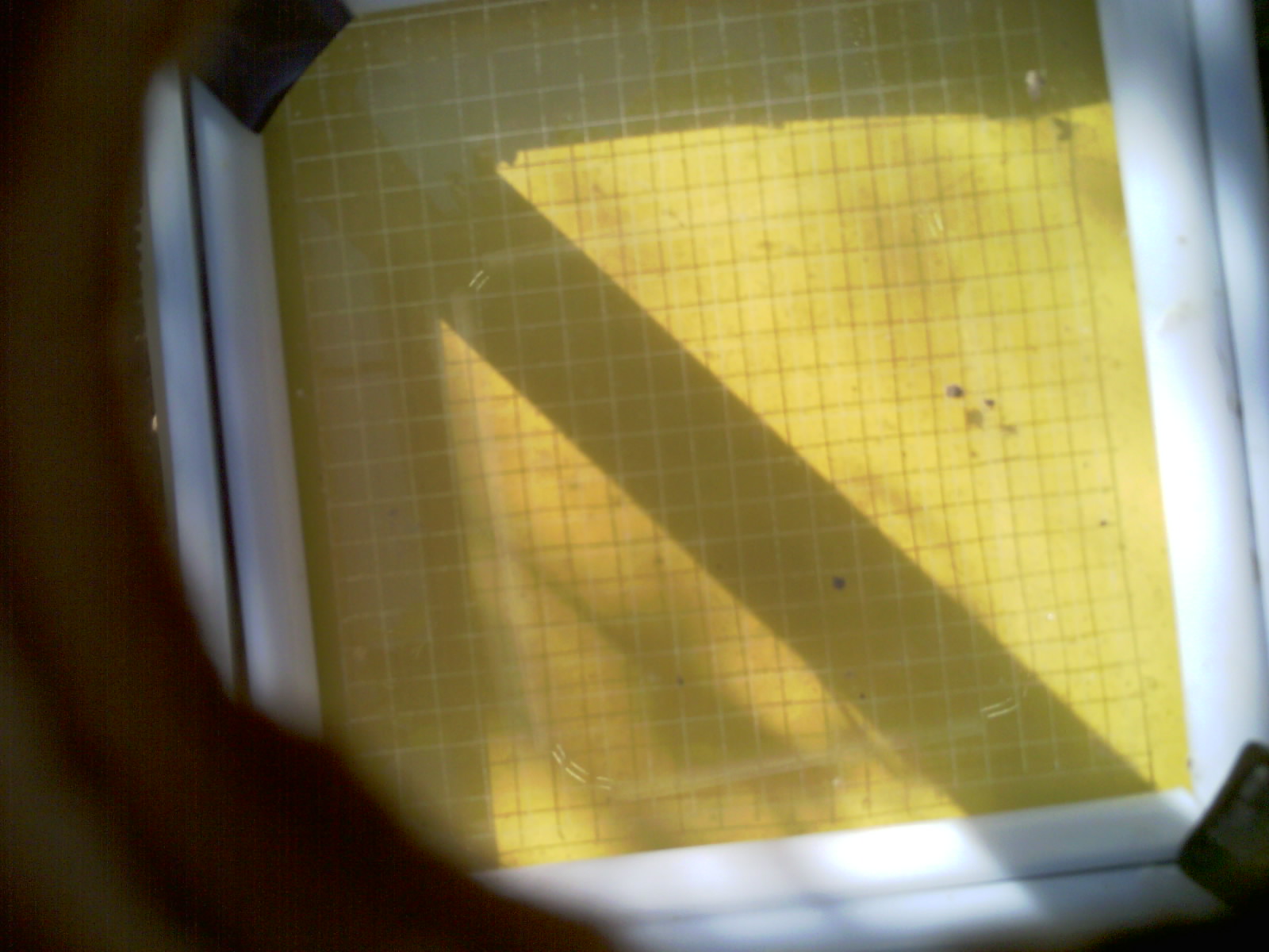 20260705_090609_UXGA_Q3.jpg