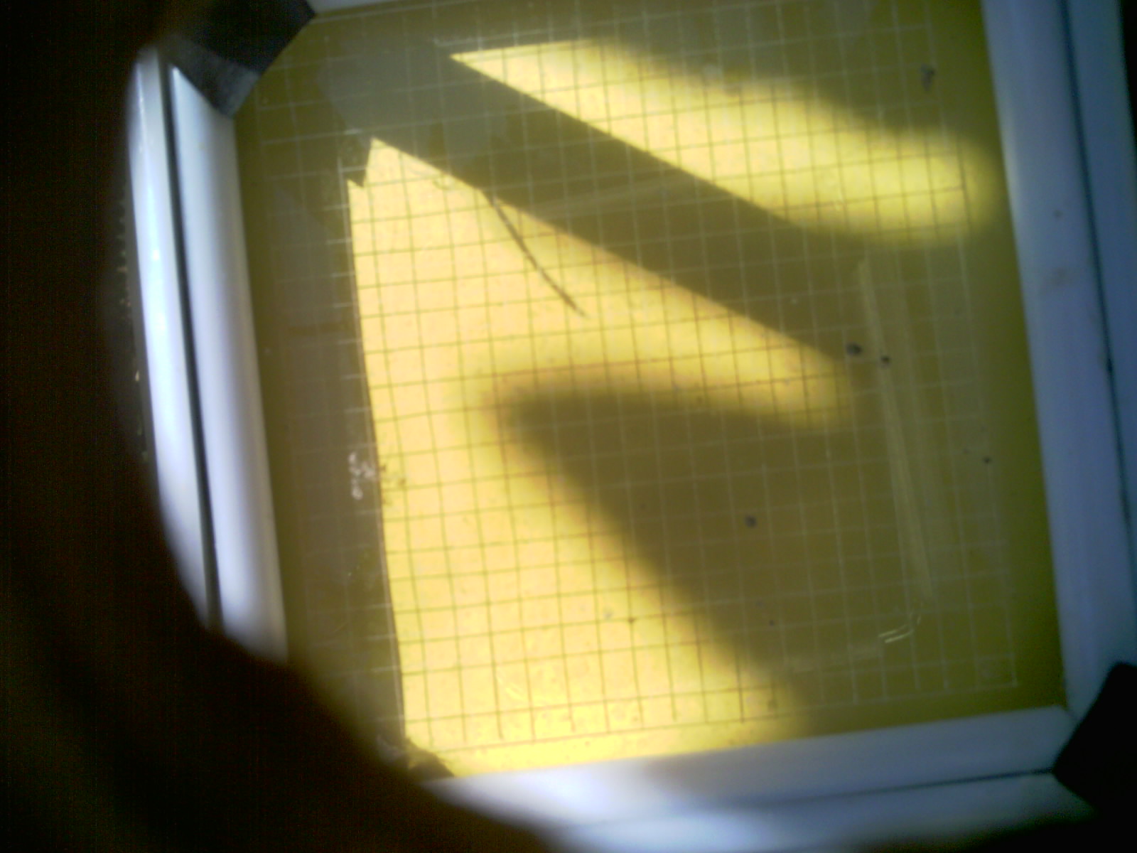 20260705_104324_UXGA_Q3.jpg