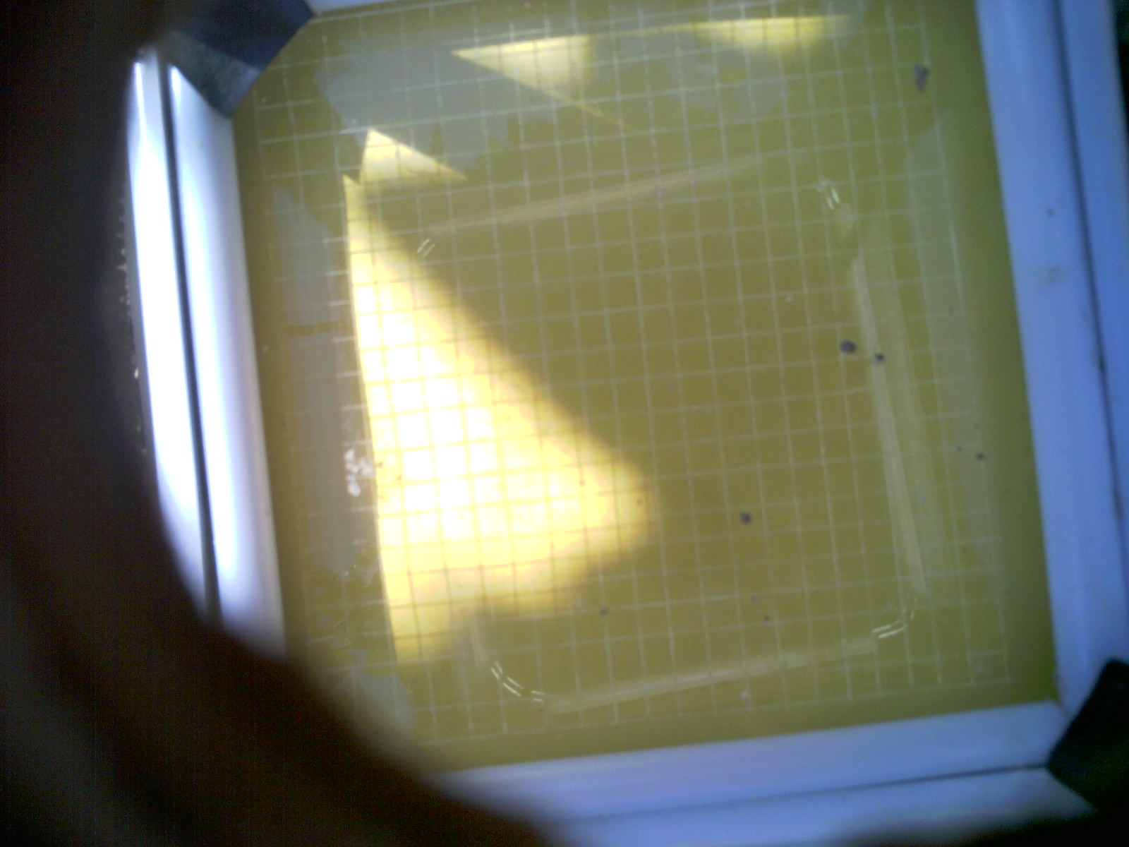 20260705_104941_UXGA_Q3.jpg