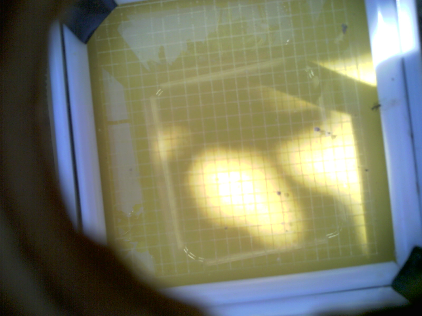 20260705_111307_UXGA_Q3.jpg