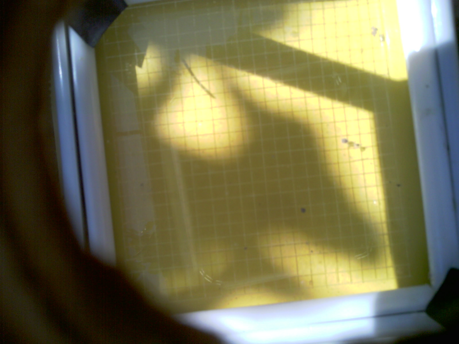 20260705_111900_UXGA_Q3.jpg