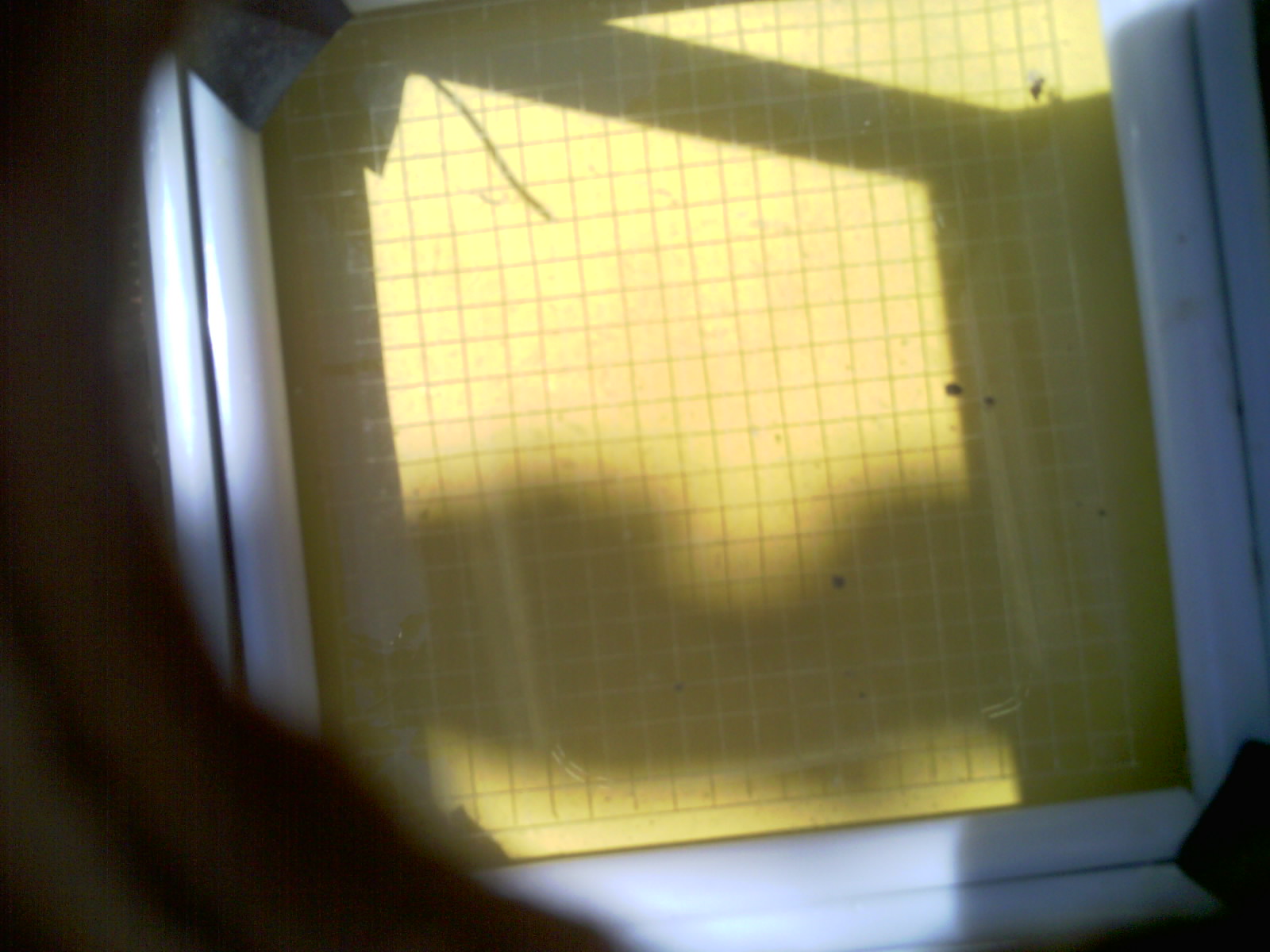 20260705_114434_UXGA_Q3.jpg