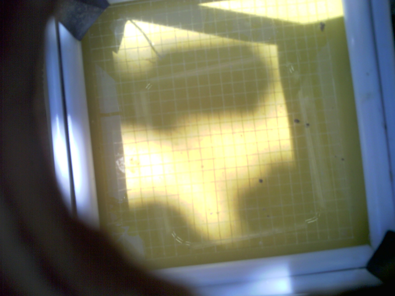 20260705_115302_UXGA_Q3.jpg