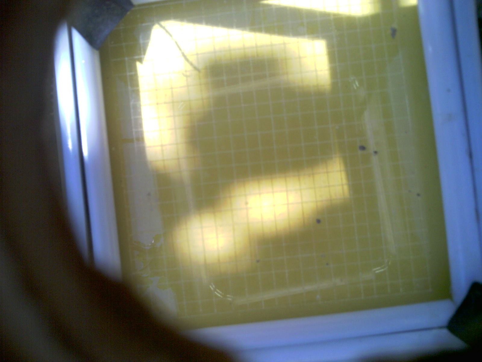 20260705_120136_UXGA_Q3.jpg