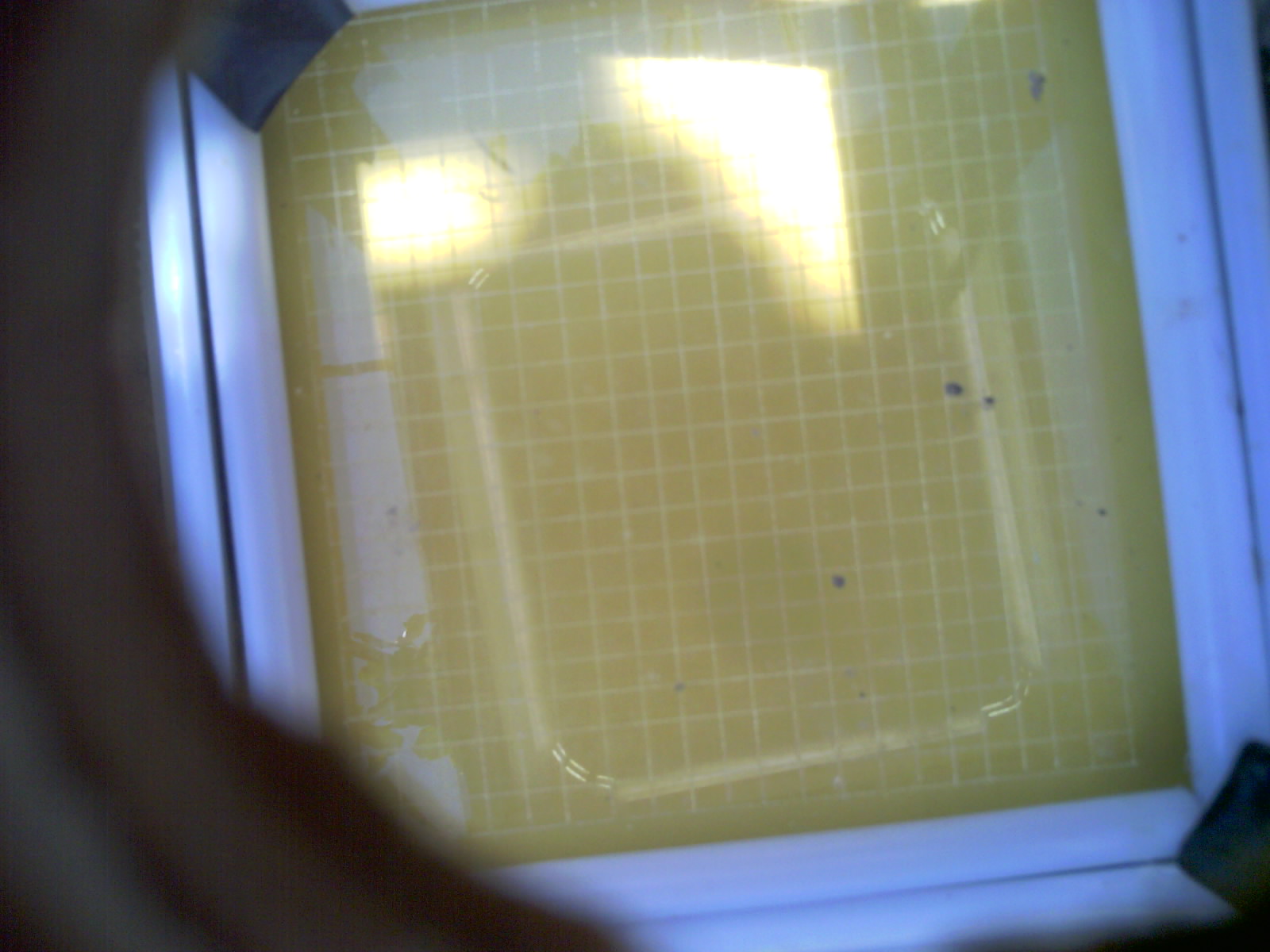 20260705_120722_UXGA_Q3.jpg