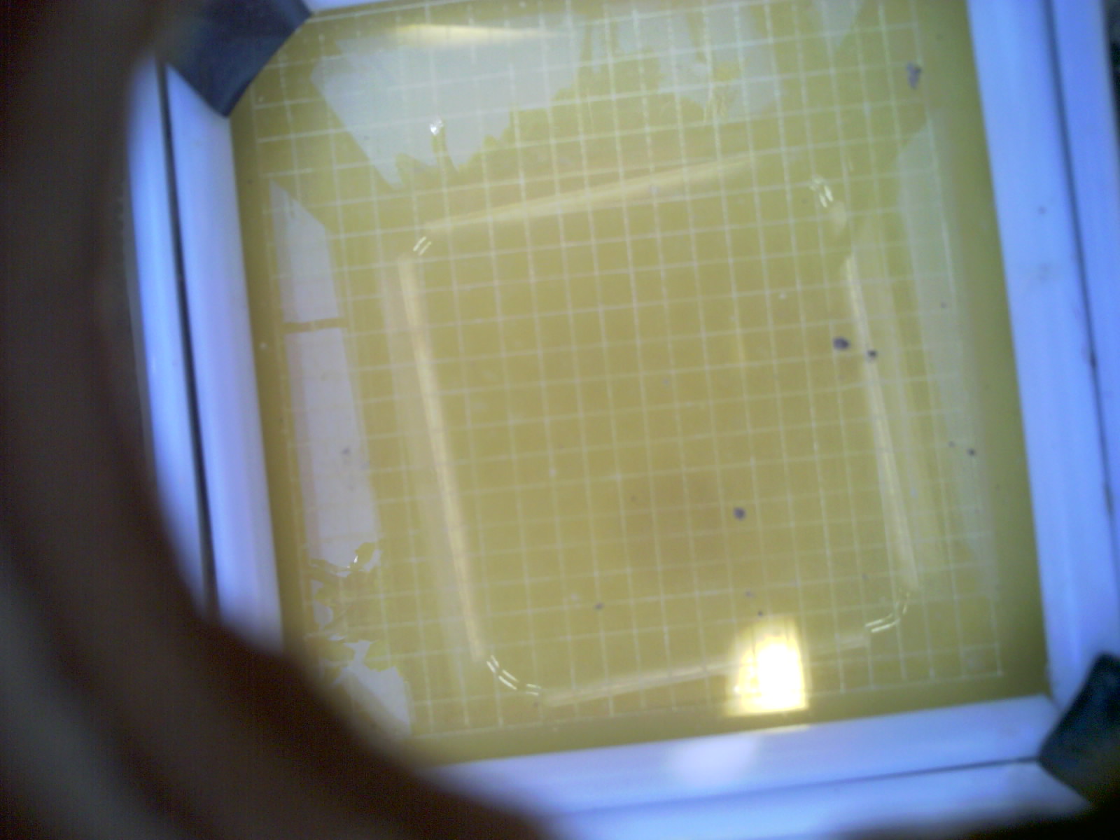 20260705_121352_UXGA_Q3.jpg