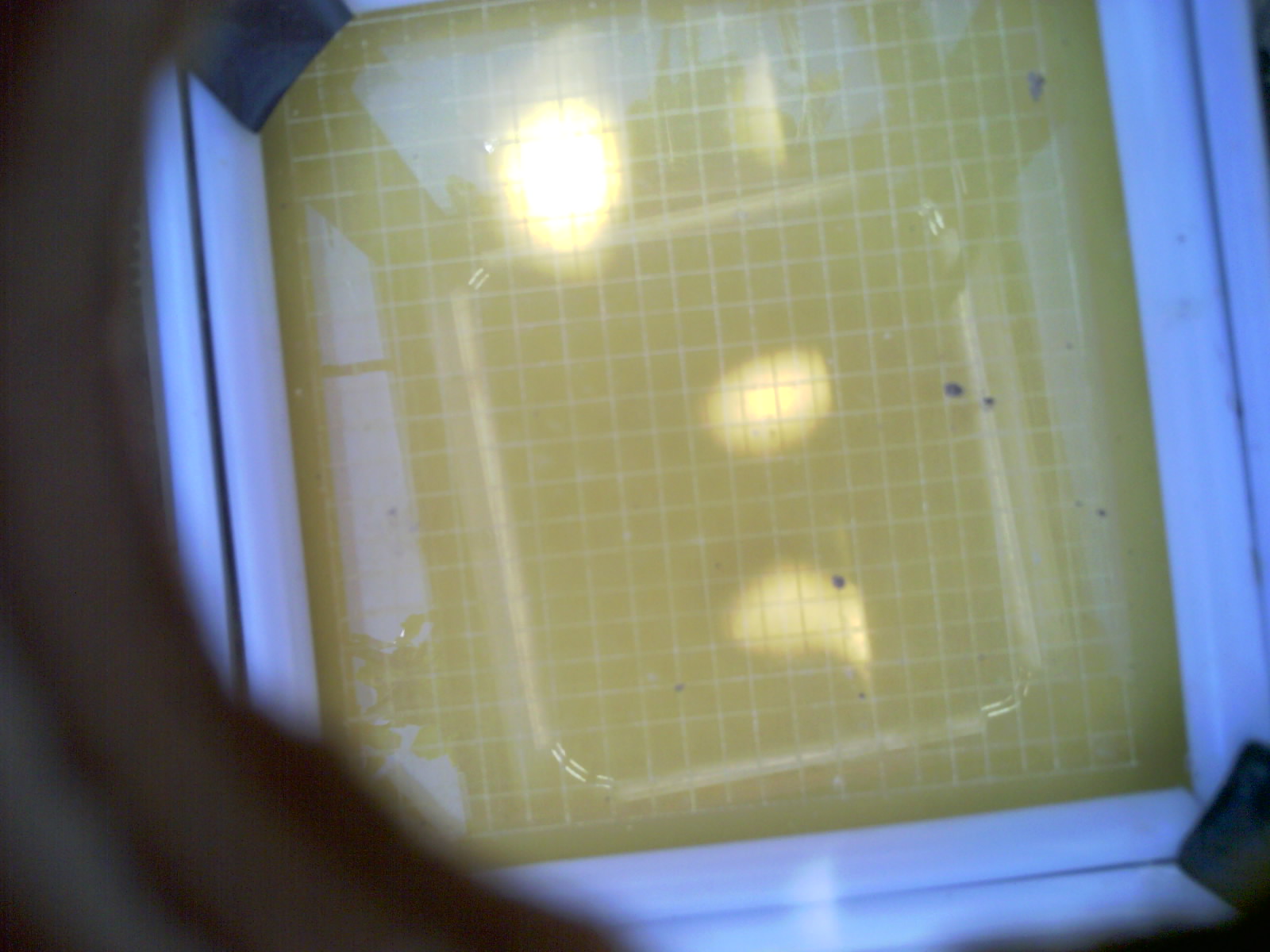 20260705_122241_UXGA_Q3.jpg