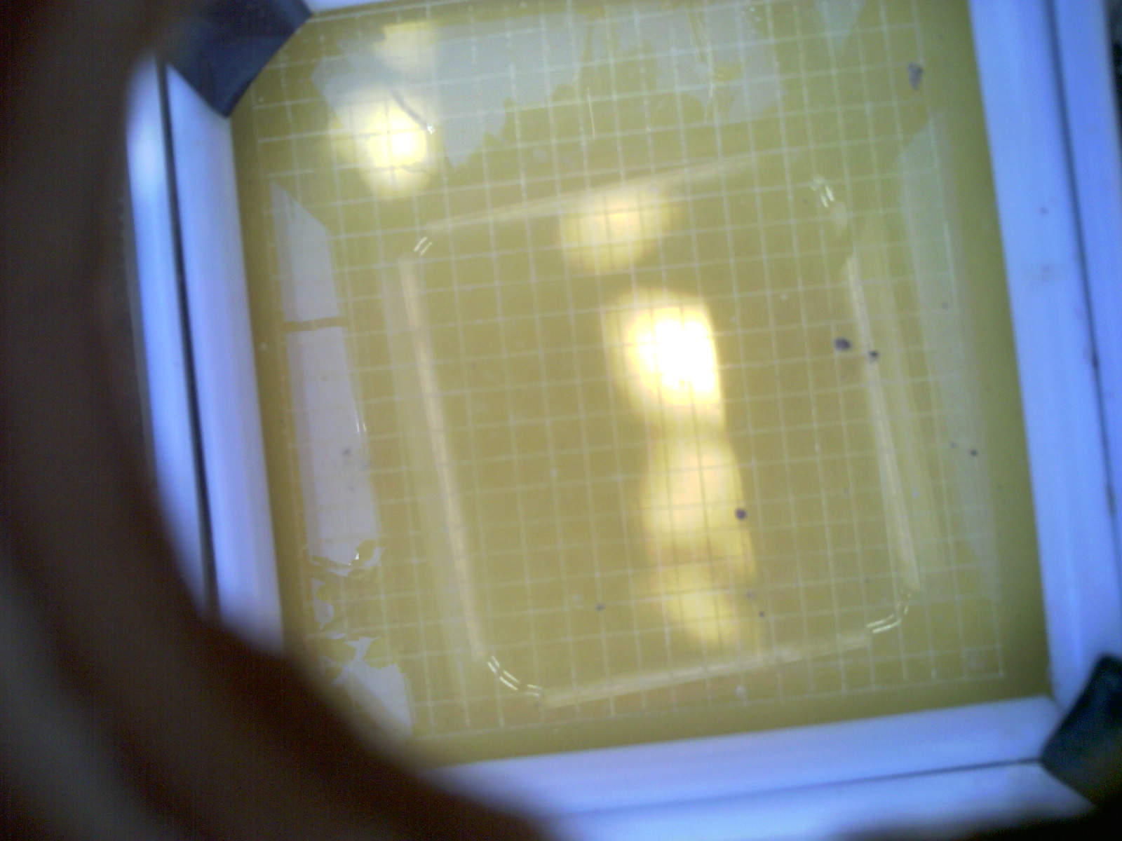 20260705_123058_UXGA_Q3.jpg