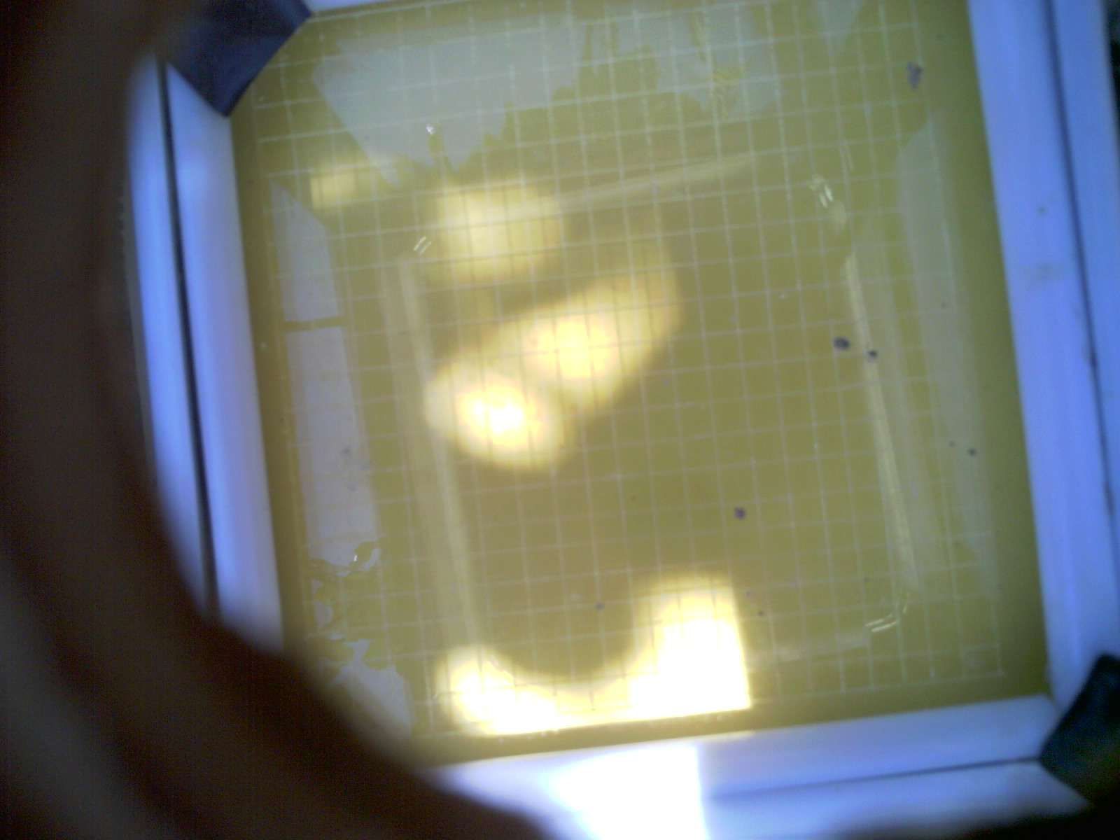 20260705_123904_UXGA_Q3.jpg