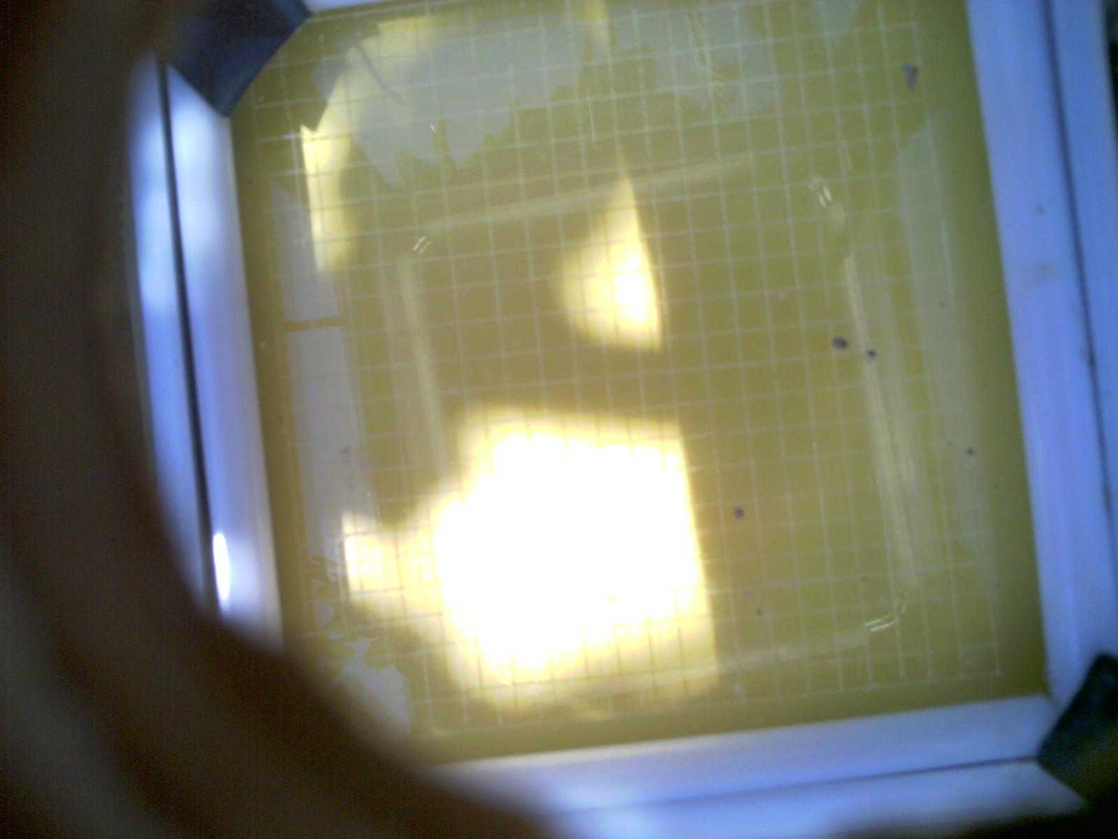20260705_124444_UXGA_Q3.jpg