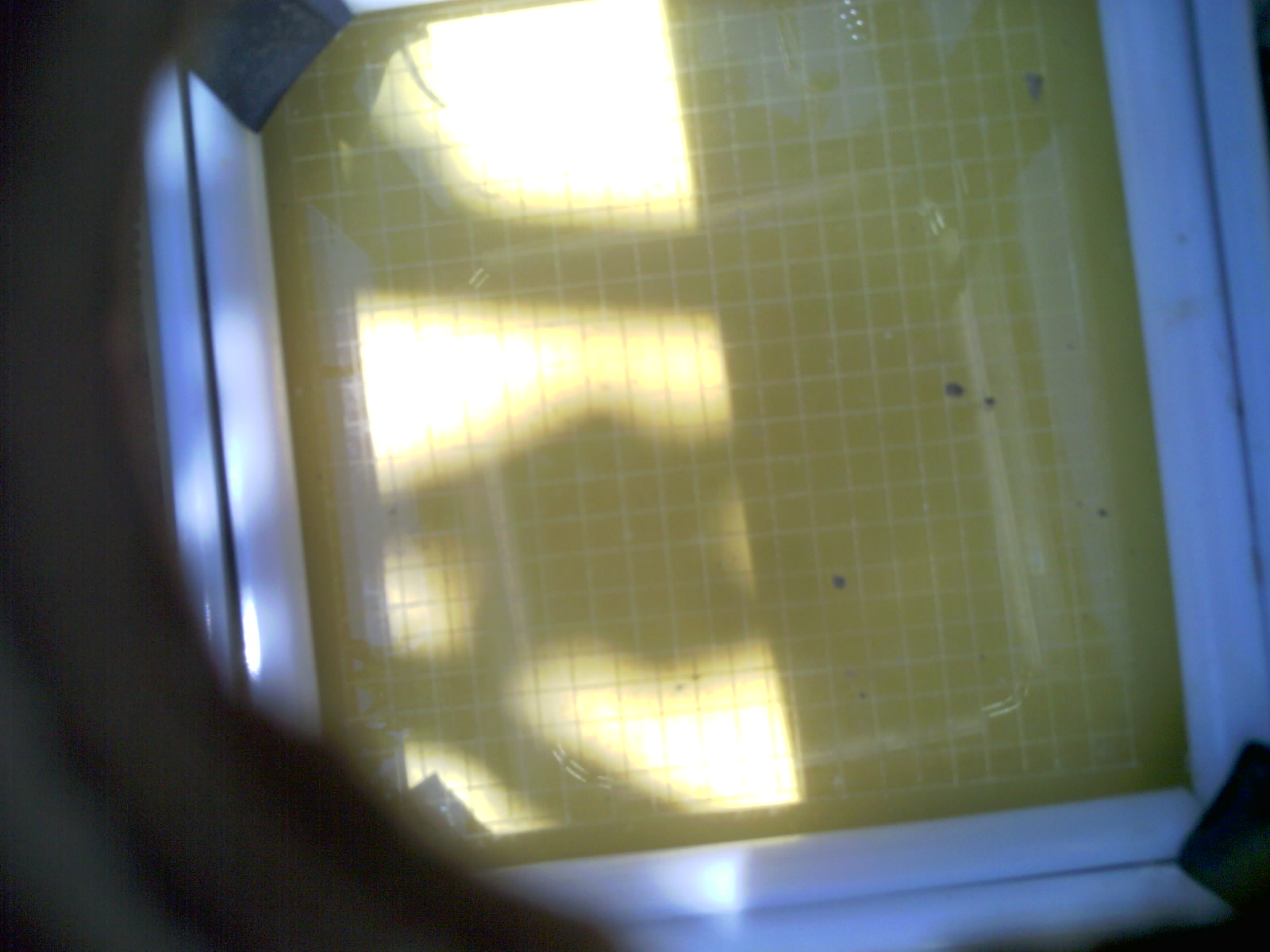 20260705_125025_UXGA_Q3.jpg